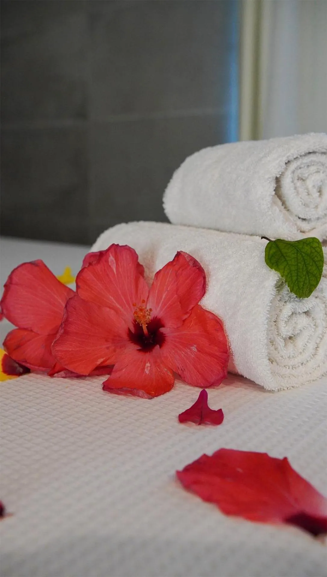 Bed in GoldMen Vila do Mar Natal