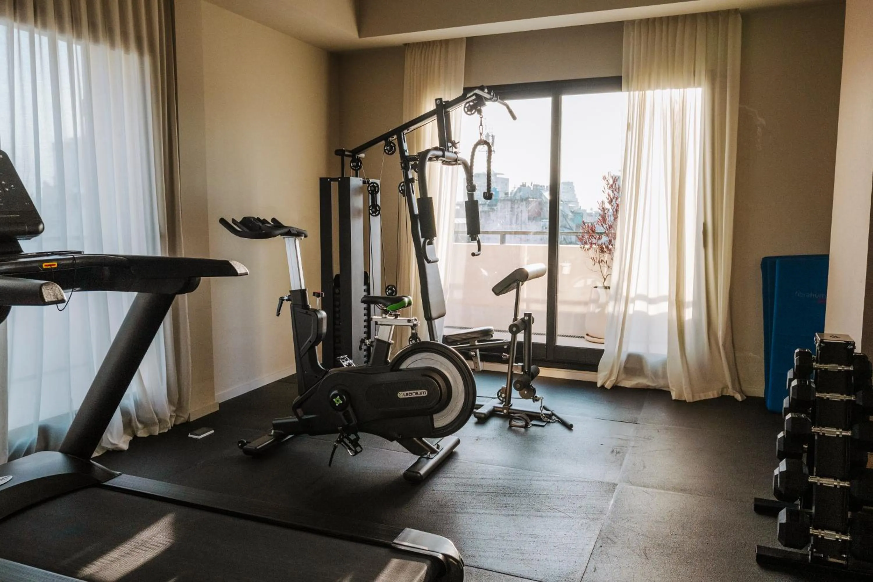 Fitness centre/facilities in Vilon Recoleta Hotel
