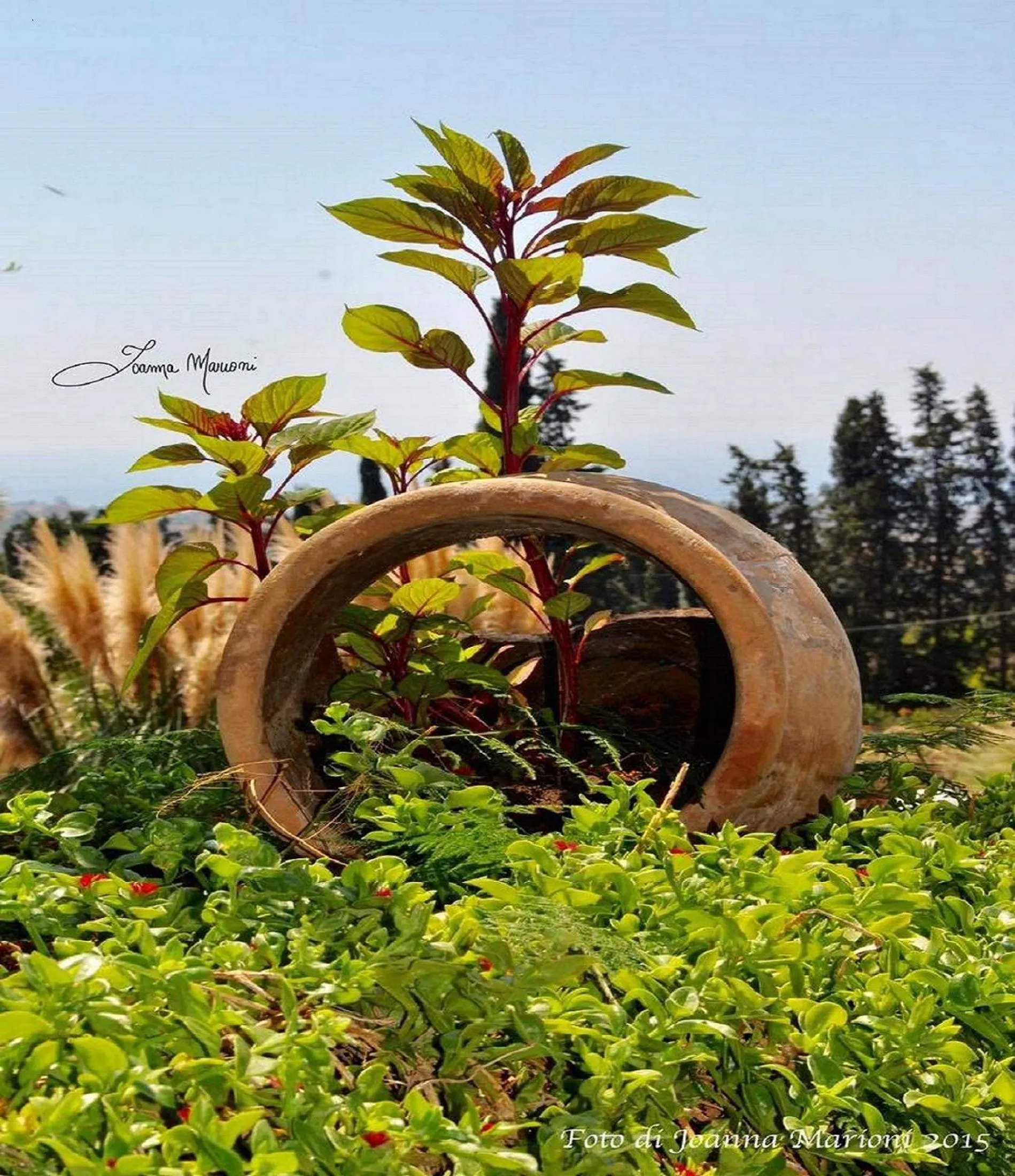 Spring in Villa La Lumia B&B Suites & Apartments