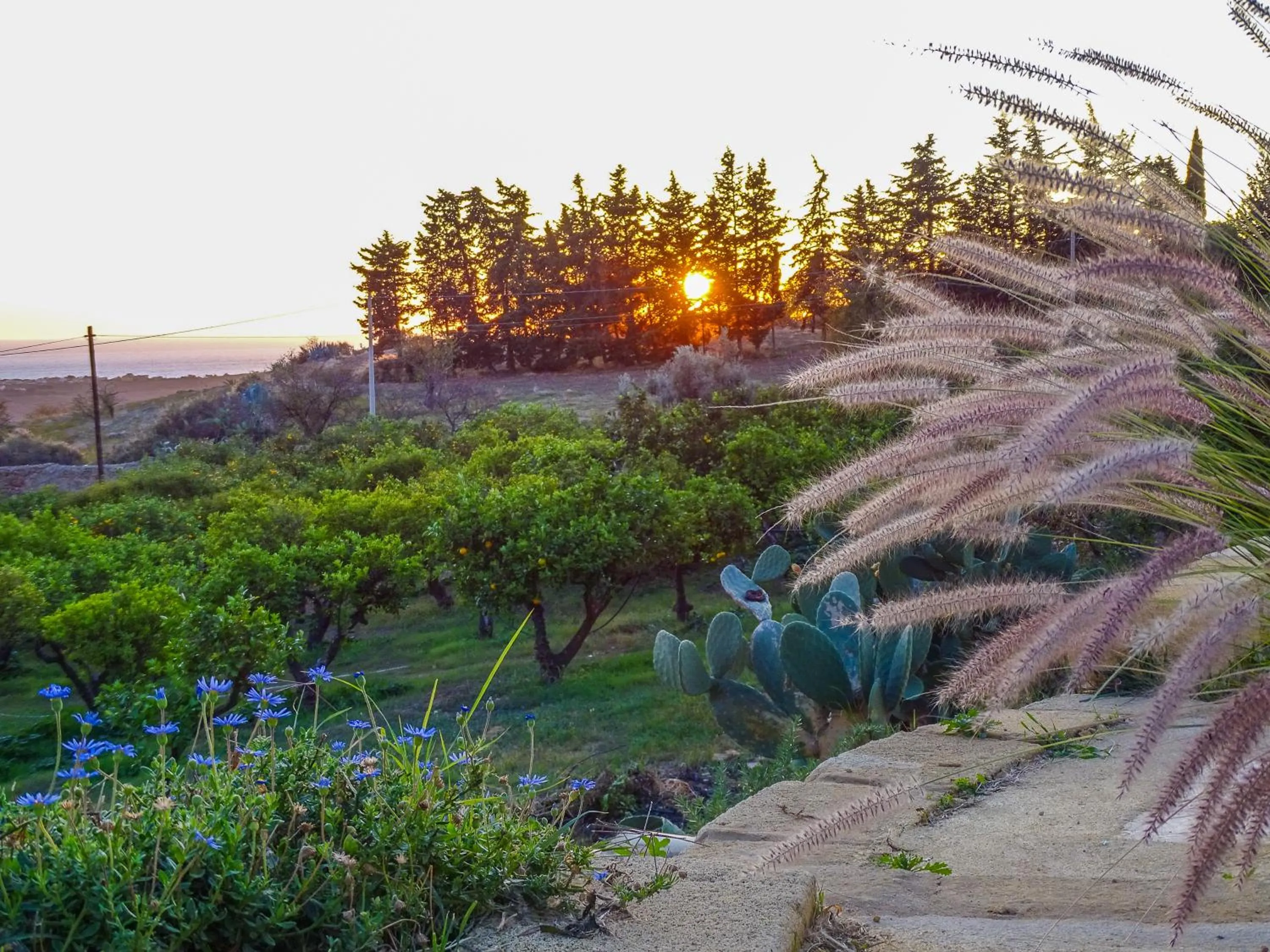 Garden in Villa La Lumia B&B Suites & Apartments