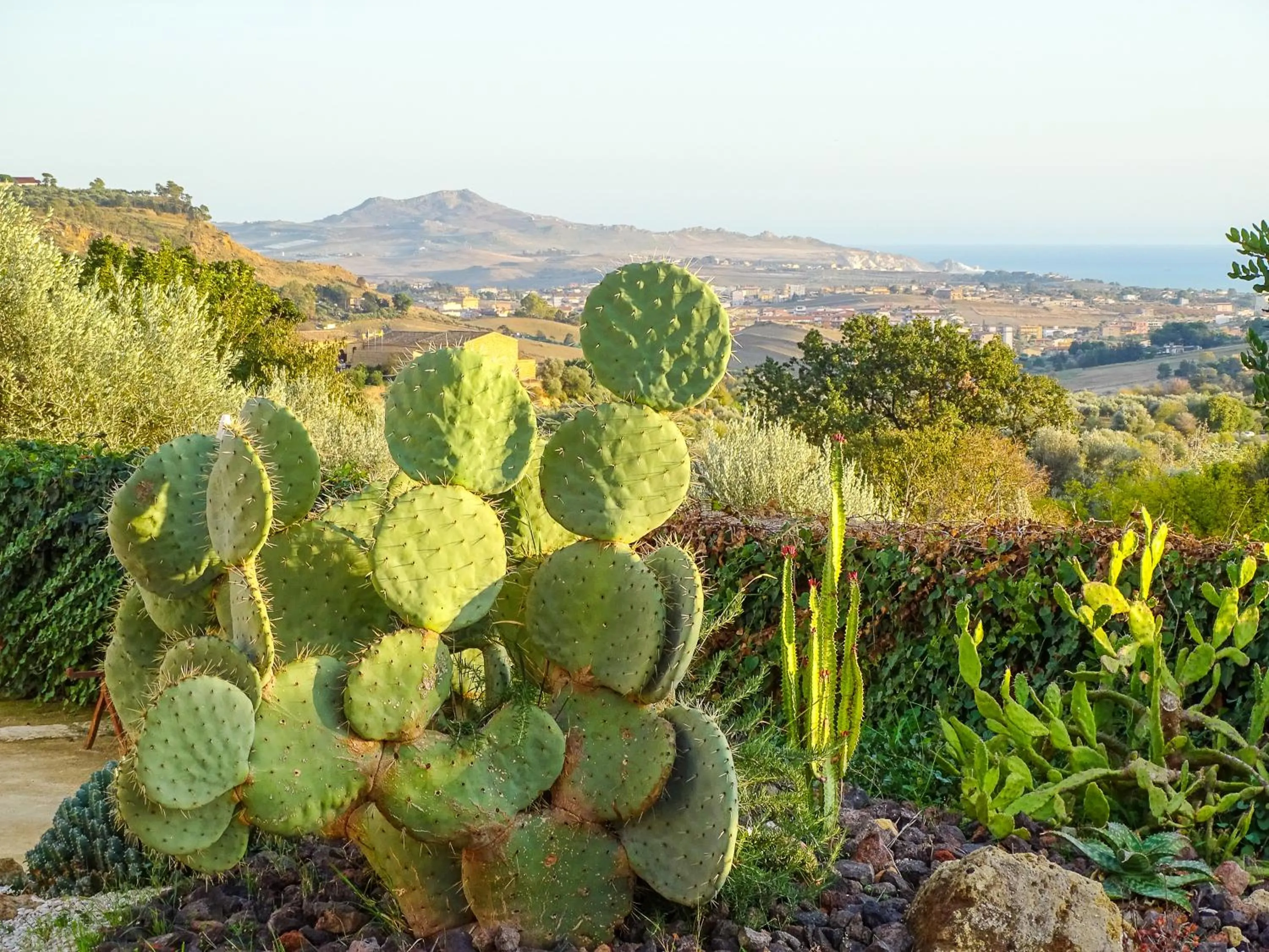 Garden in Villa La Lumia B&B Suites & Apartments
