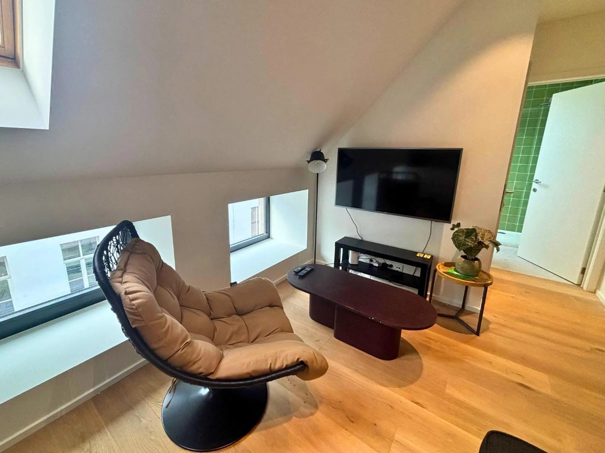 TV and multimedia in Smartflats - Meir Antwerp
