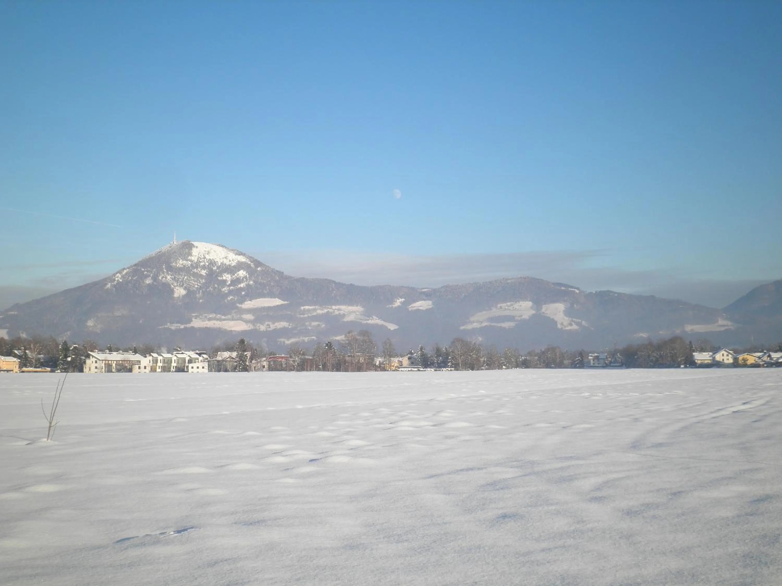 View (from property/room) in Pension Ballwein