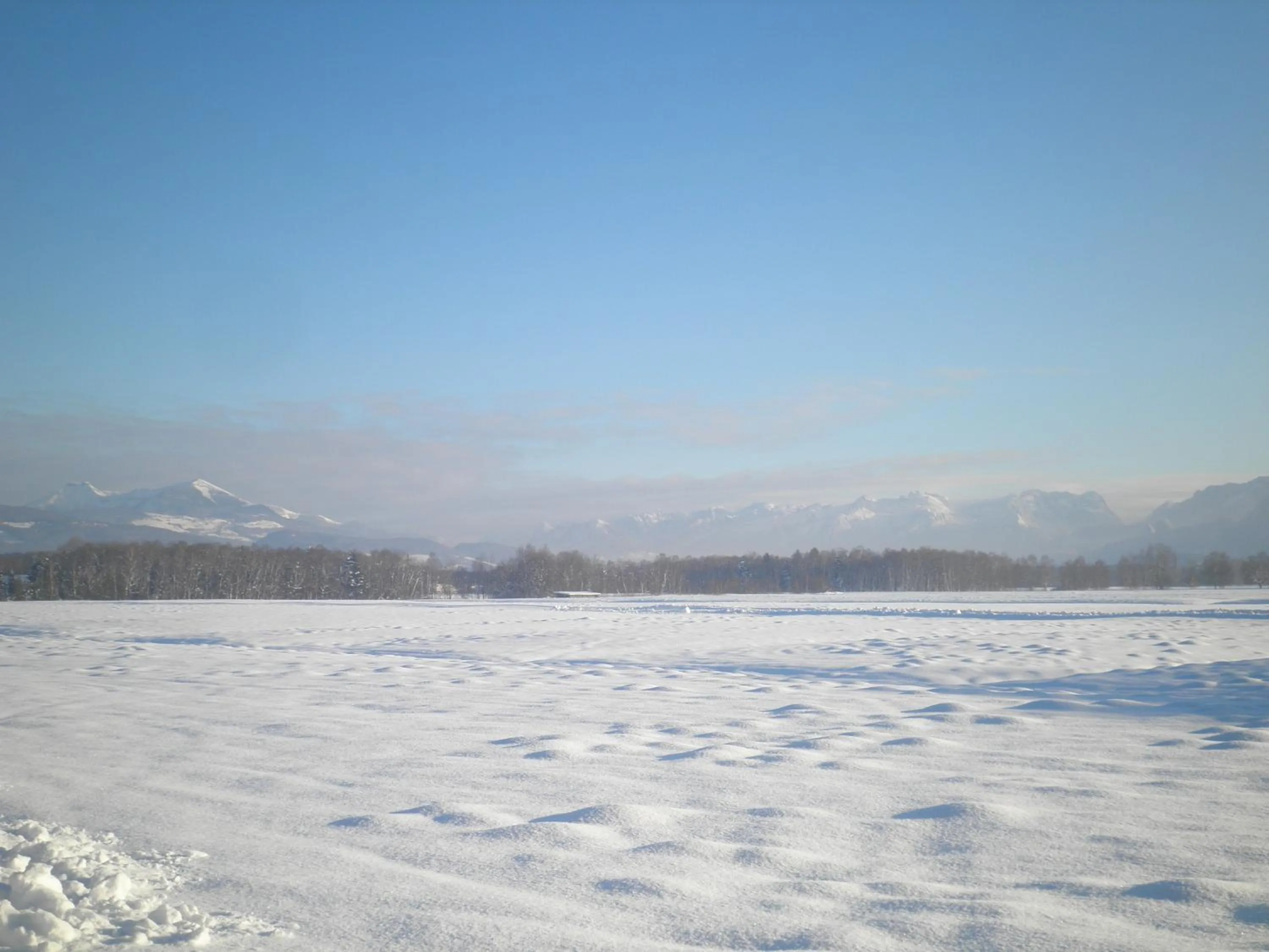 View (from property/room) in Pension Ballwein