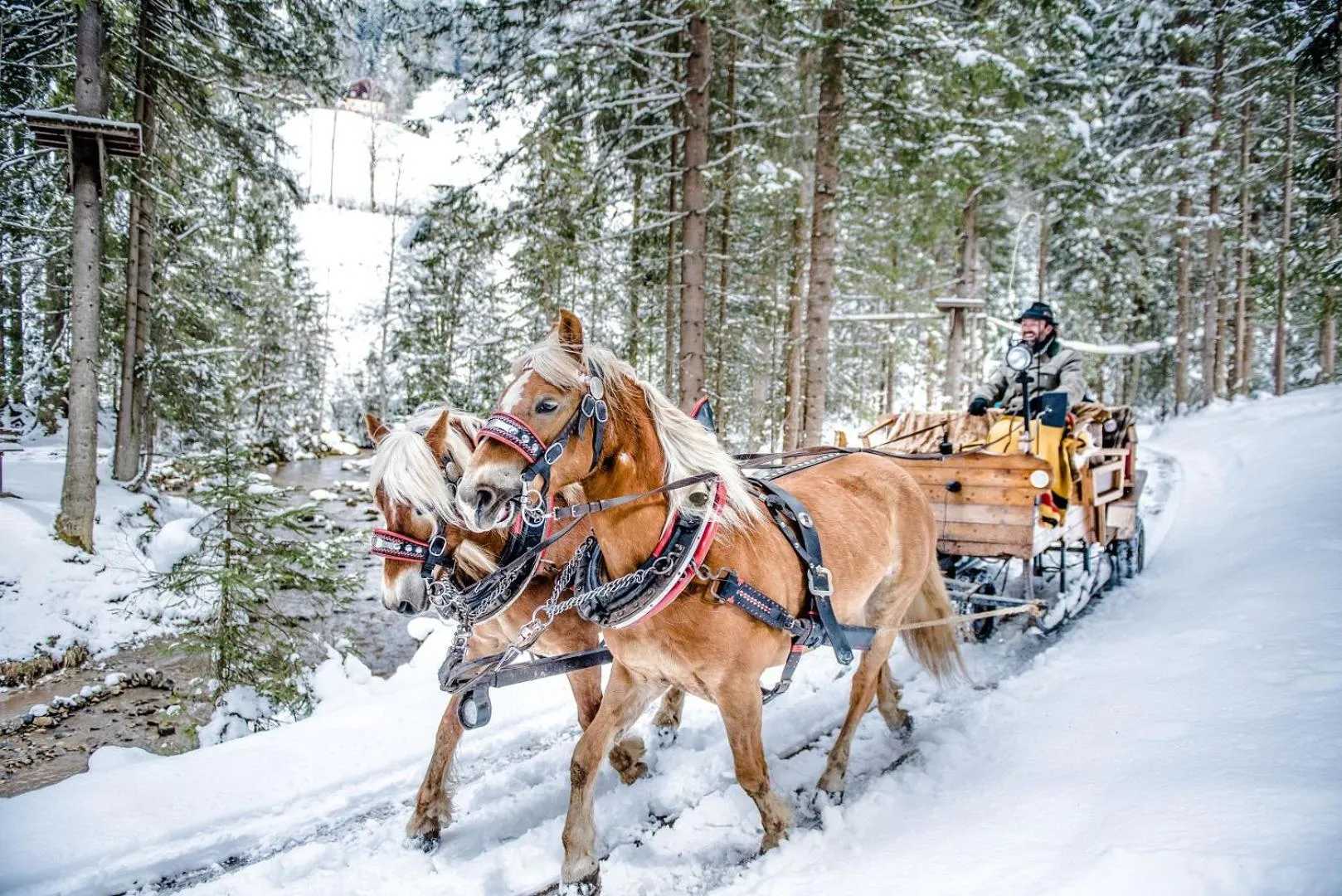 Natural landscape in Hotel Sportalmmm, Hoch-Genuss