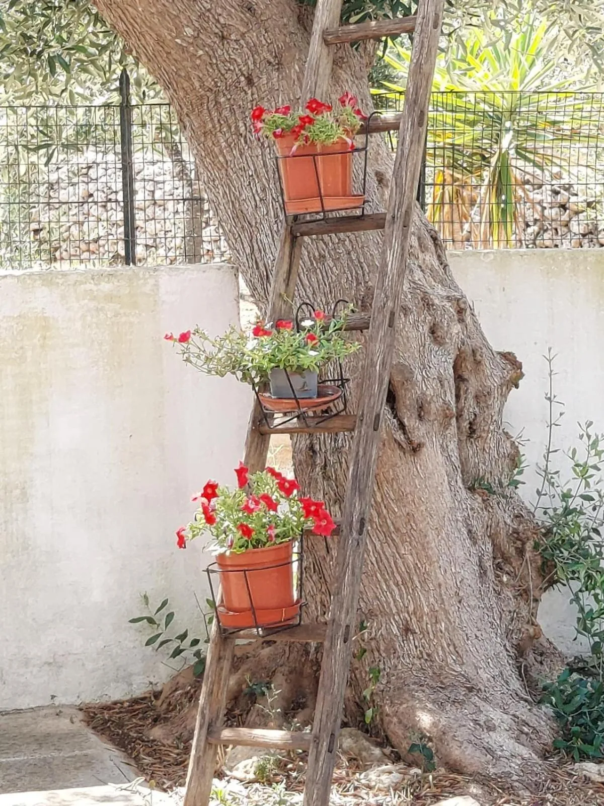 Tenuta Palummaru