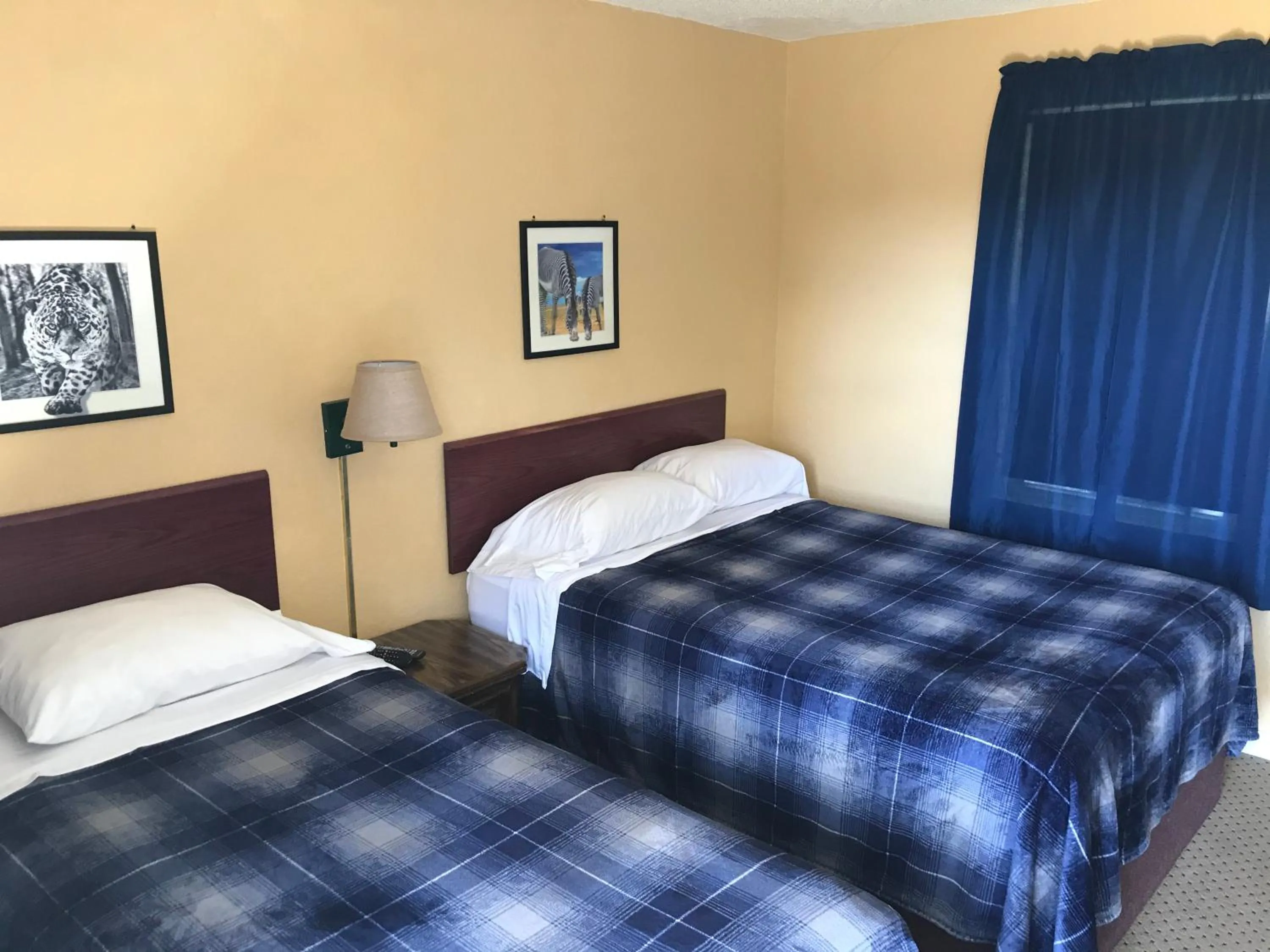 Bed in Highland Court Motel