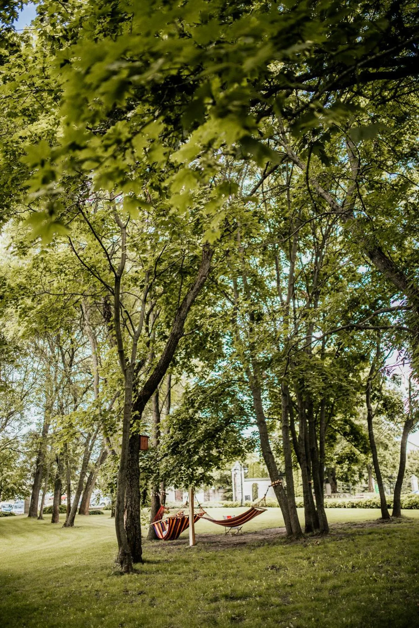 Garden in Dwór Mościbrody