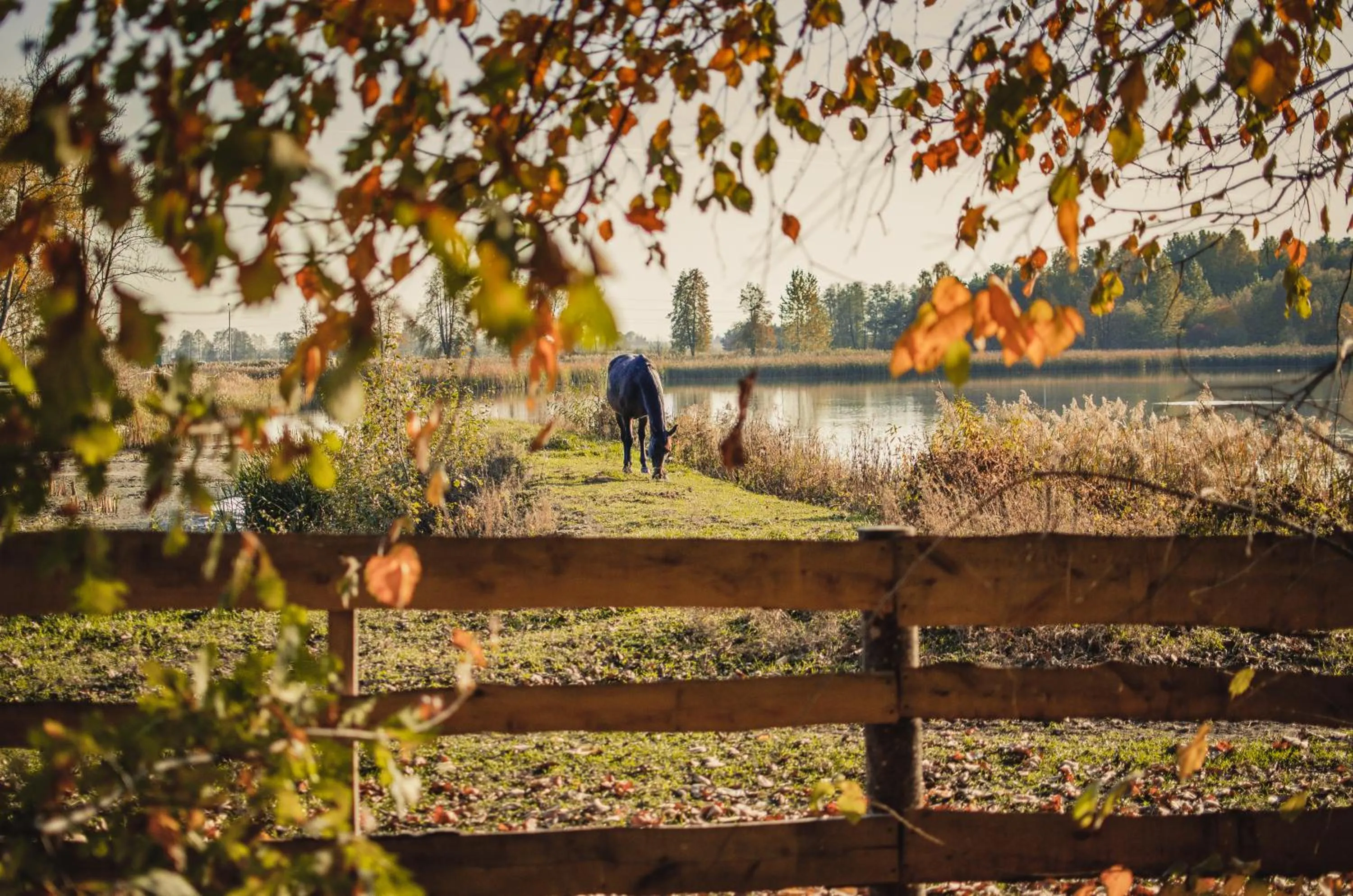 Natural landscape in Dwór Mościbrody