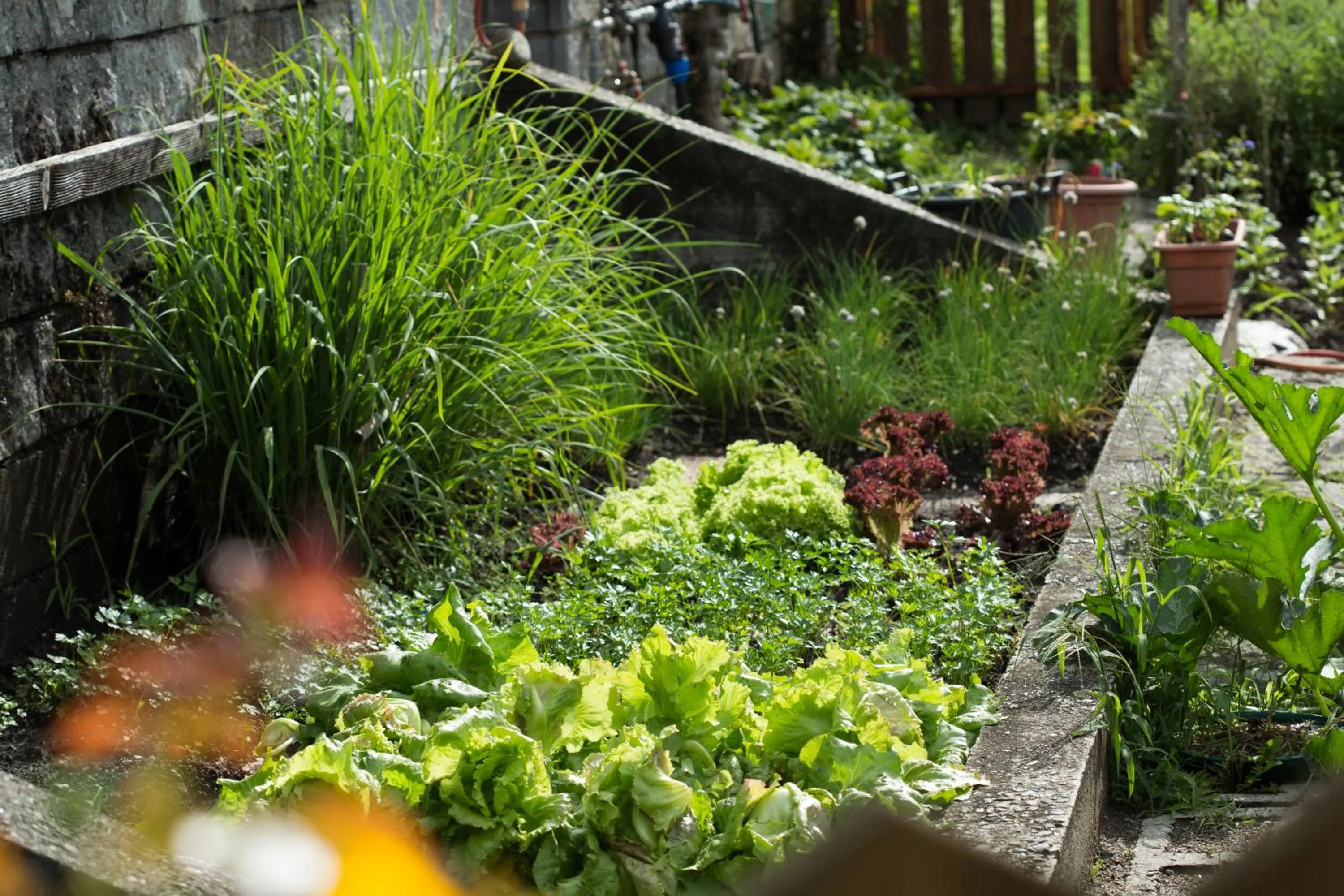 Garden in Örtlerhof