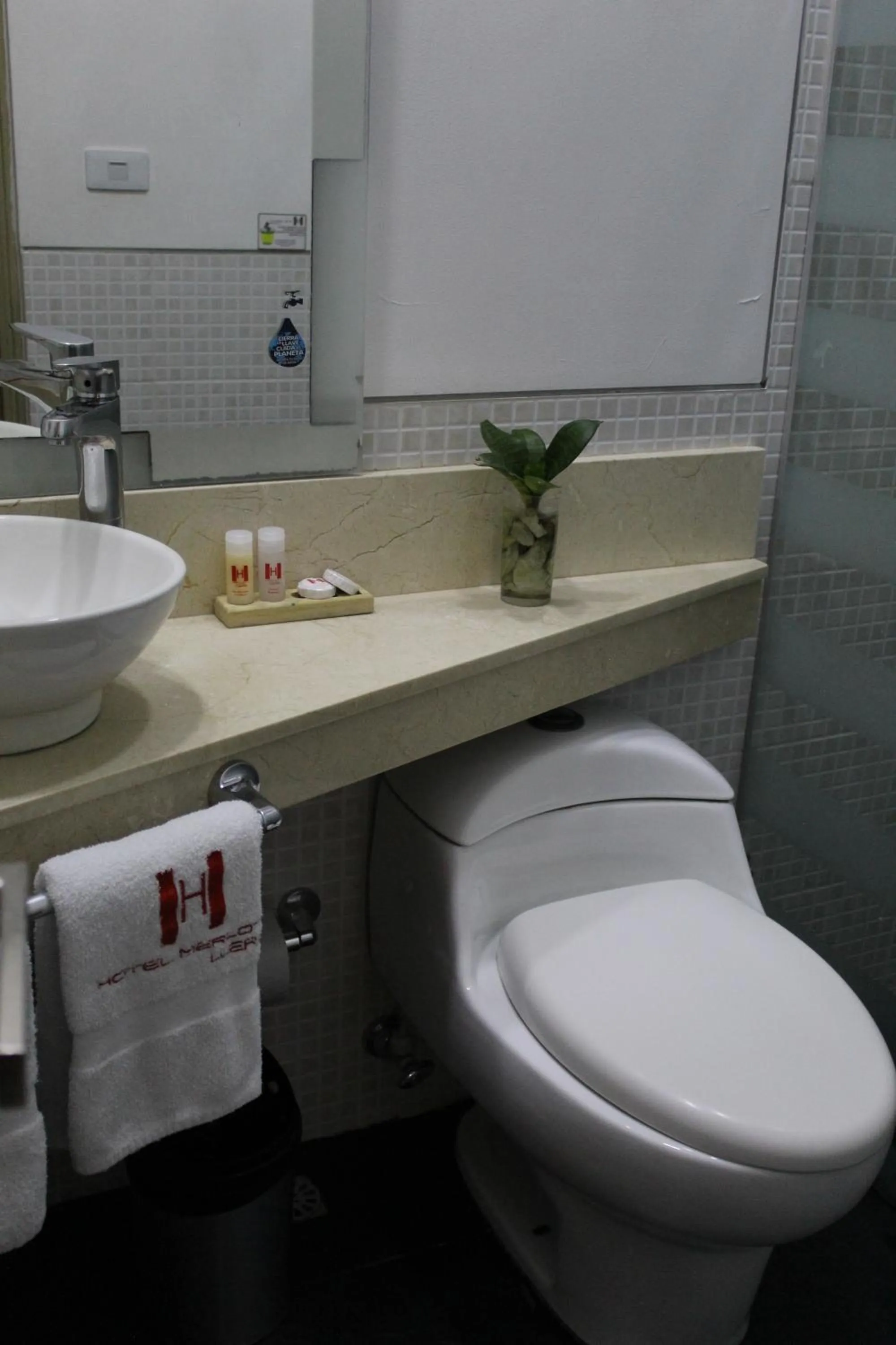 Toilet in Hotel Merlott Lleras