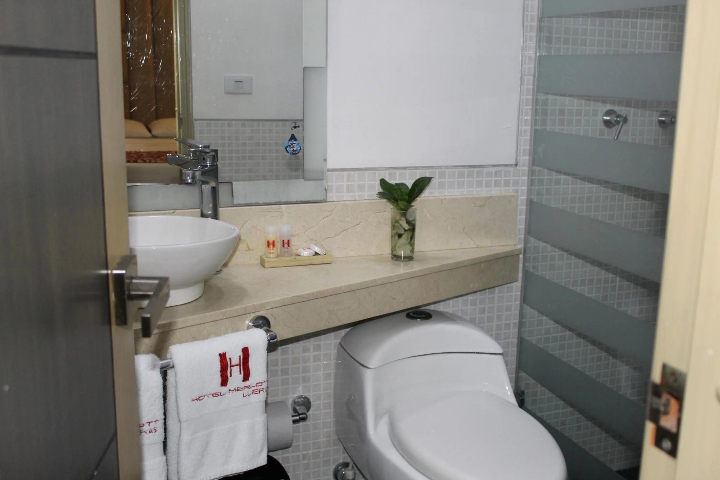 Toilet in Hotel Merlott Lleras