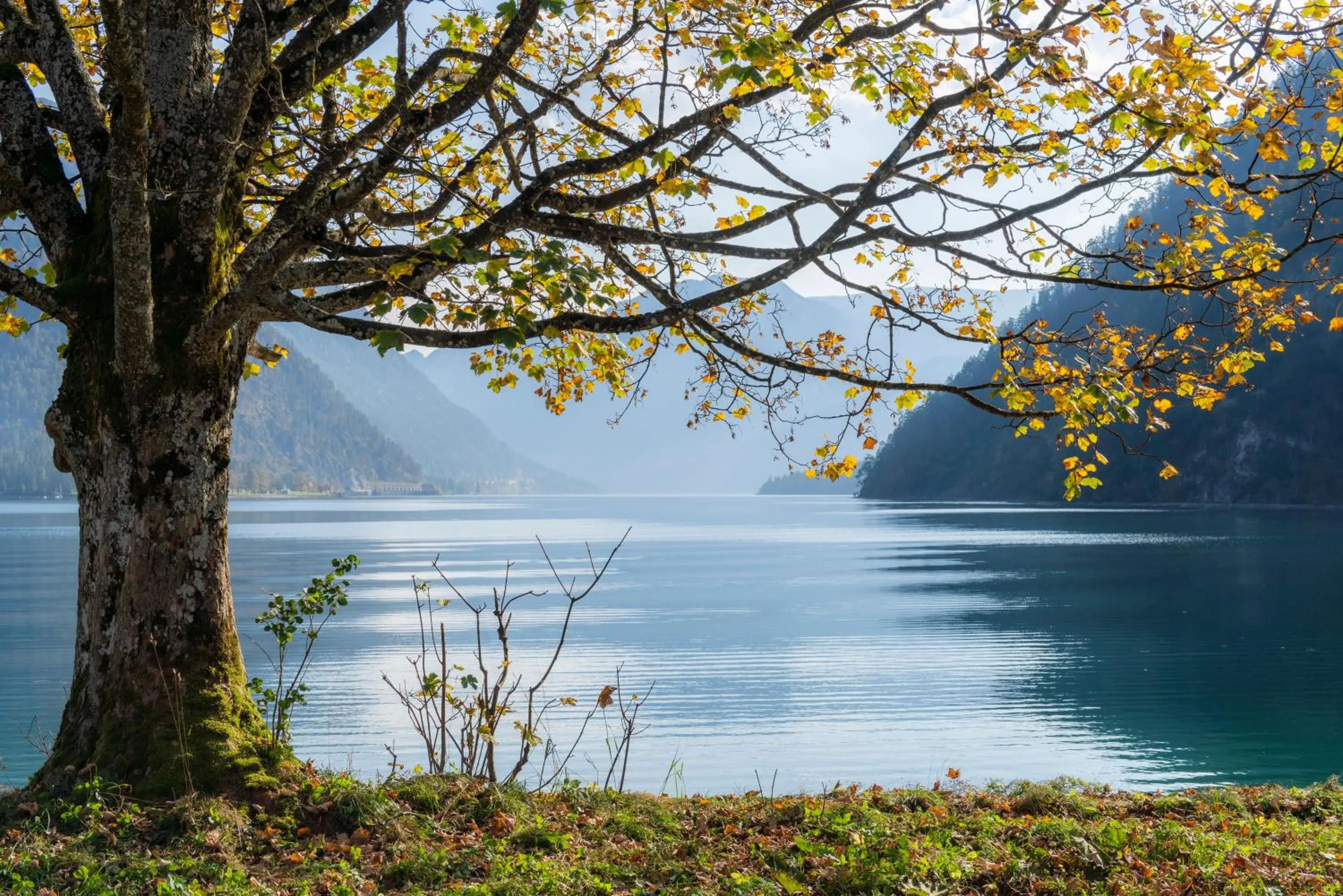 Hiking in Posthotel Achenkirch Resort and Spa - Adults Only