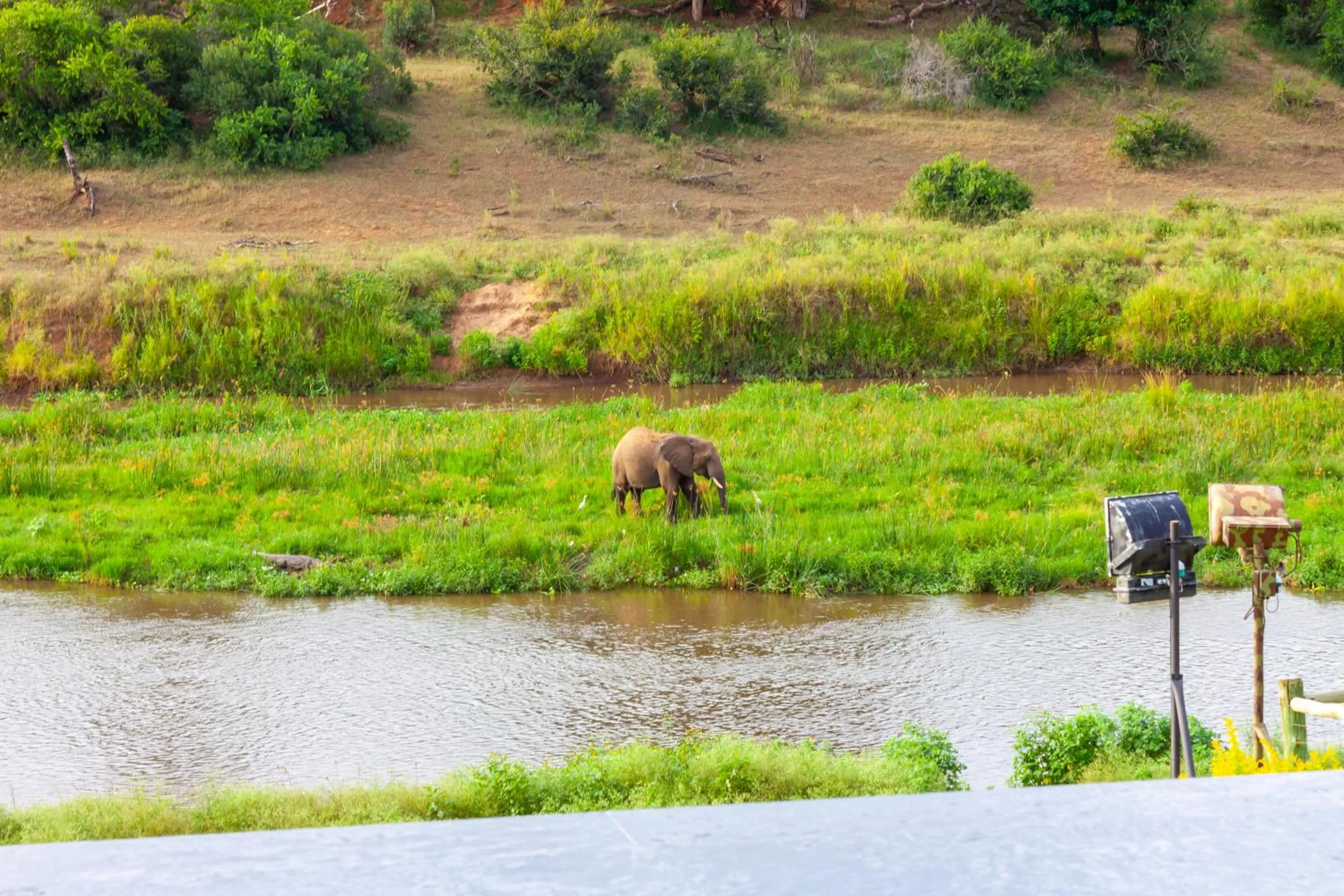 Day in Royal Mukumbura Malelane