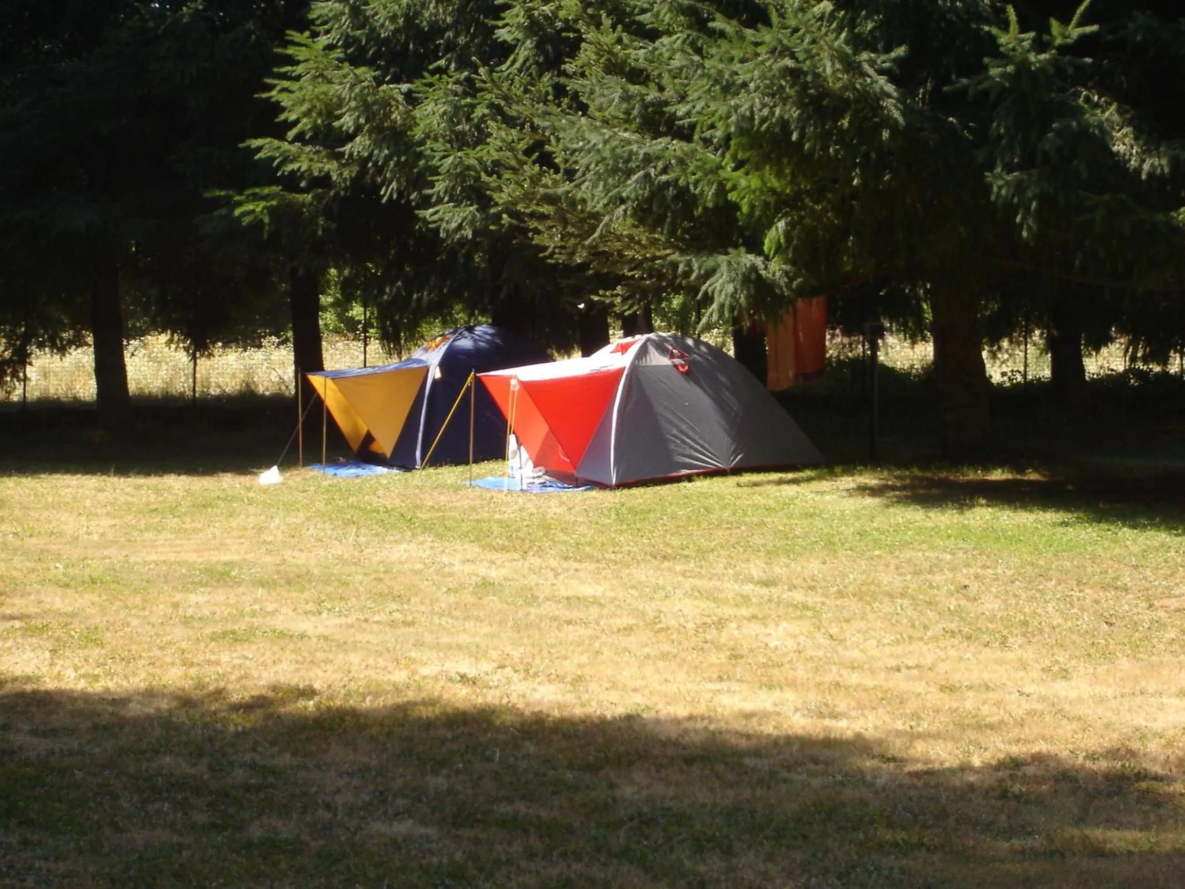 Other in Hotel La Fattoria