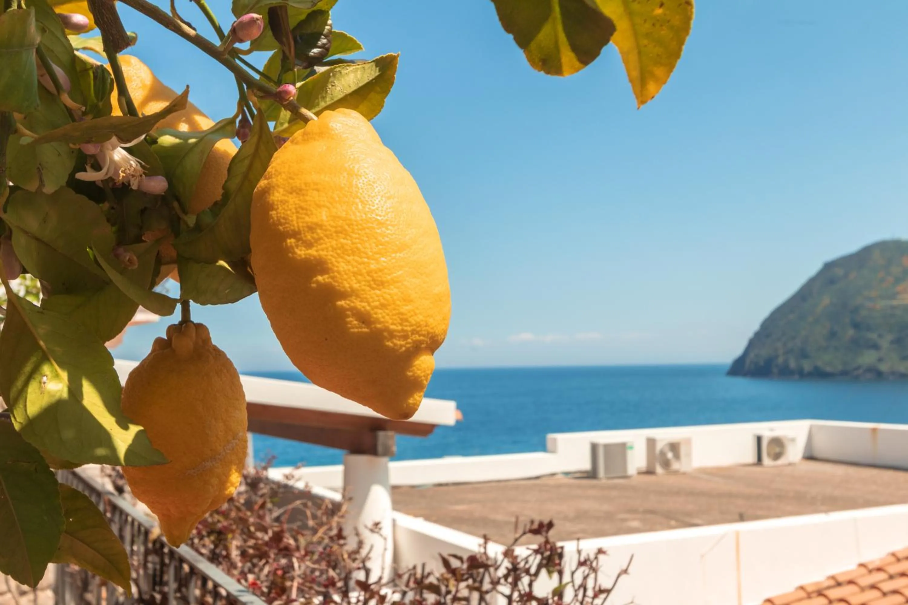 Summer in Hotel Residence La Villetta