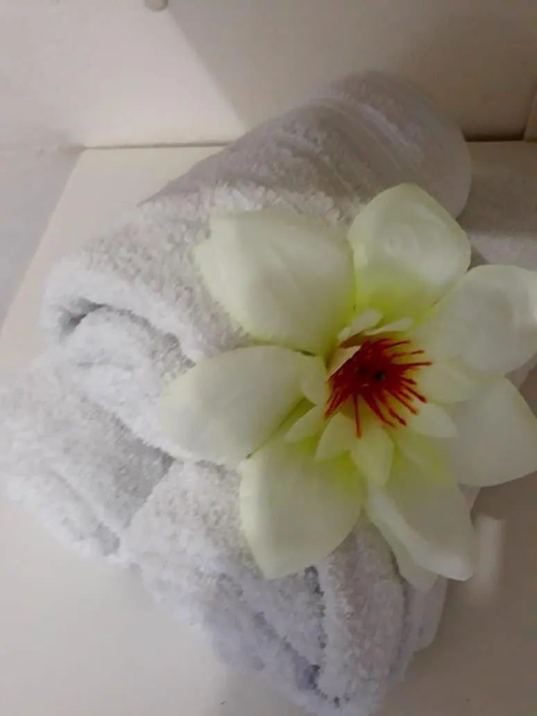 Decorative detail in Pousada Mar e Sol