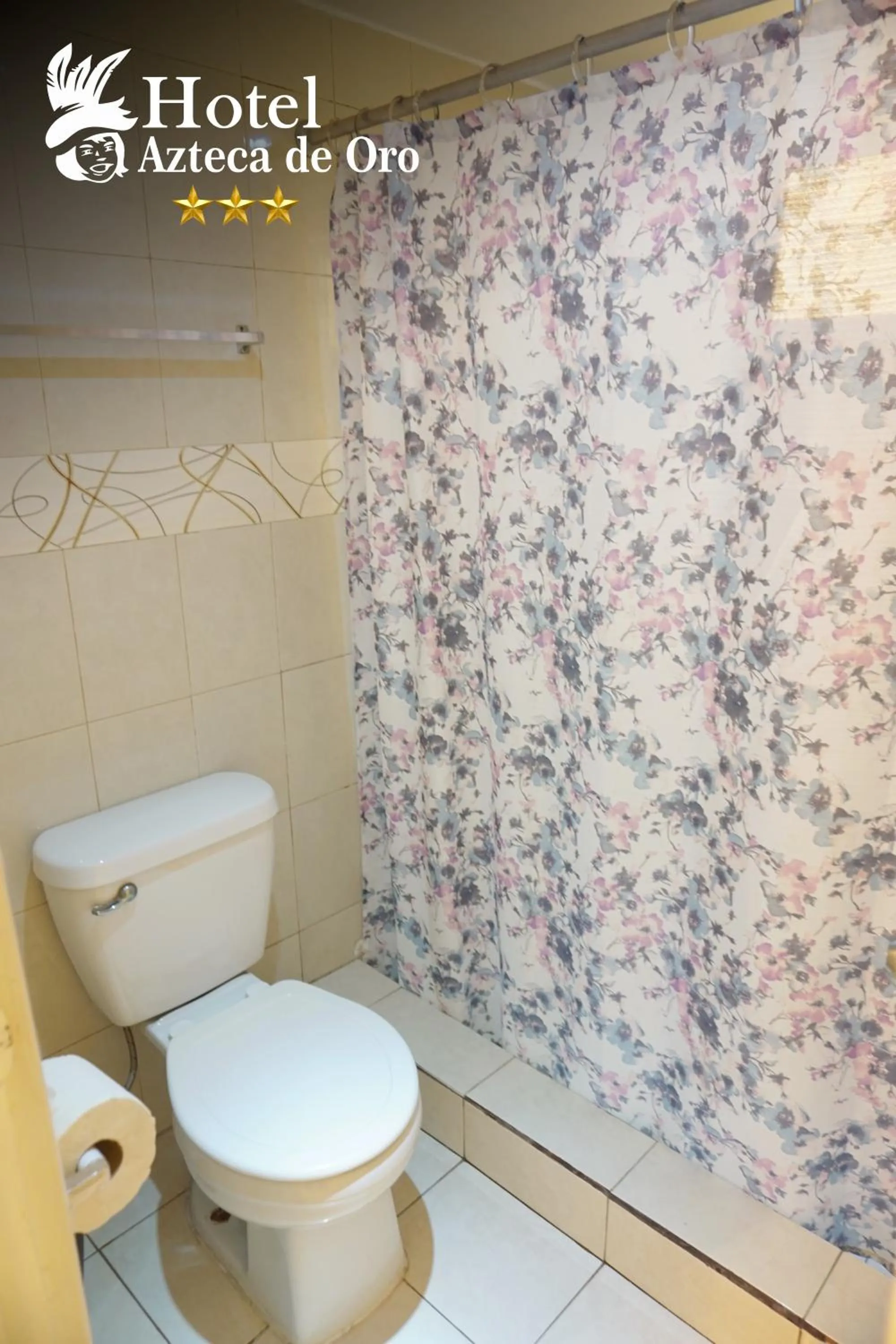 Bathroom in Hotel Azteca de Oro Mexicali