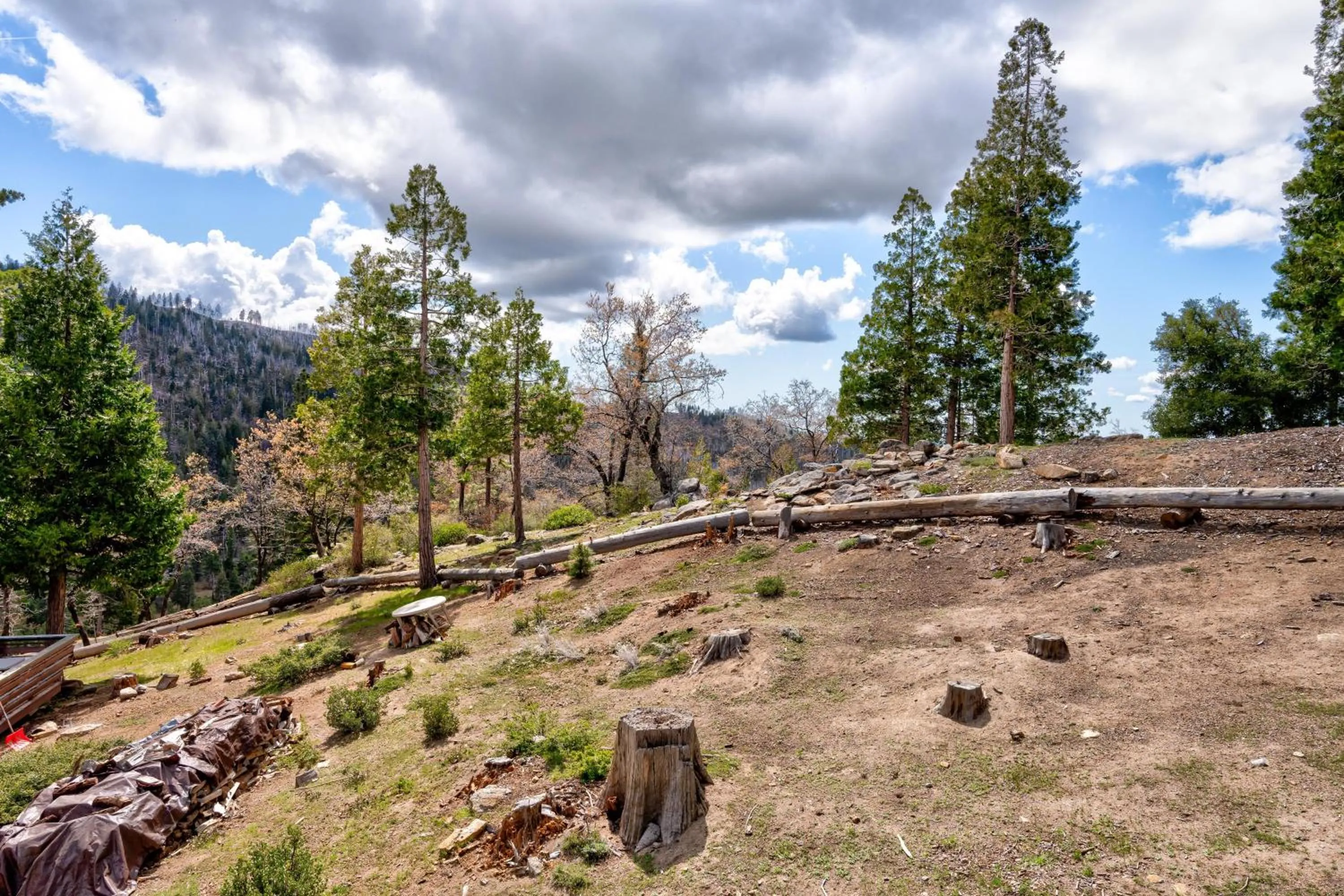 Yosemite Summit & Little Summit