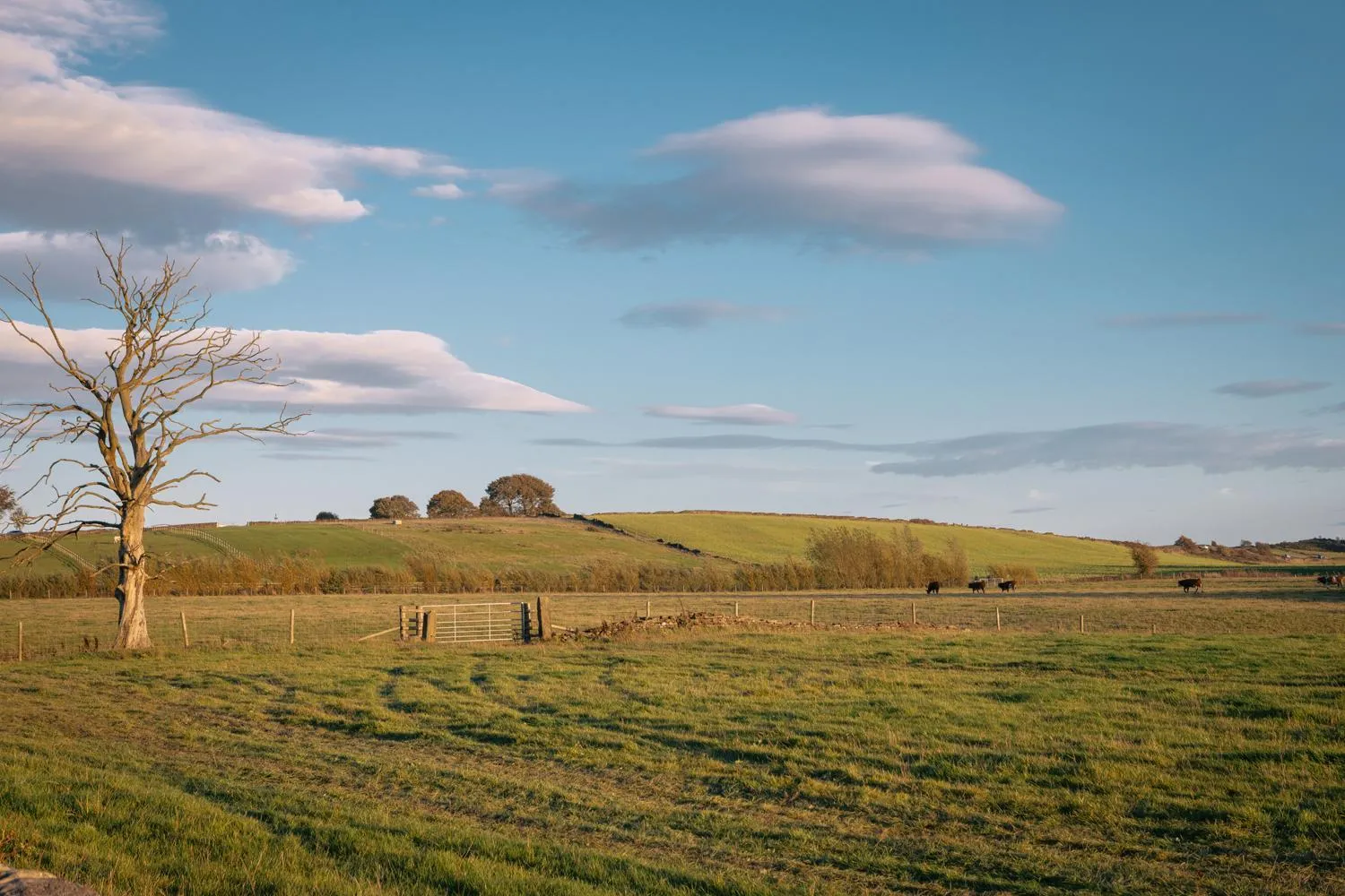 View (from property/room) in The Hide