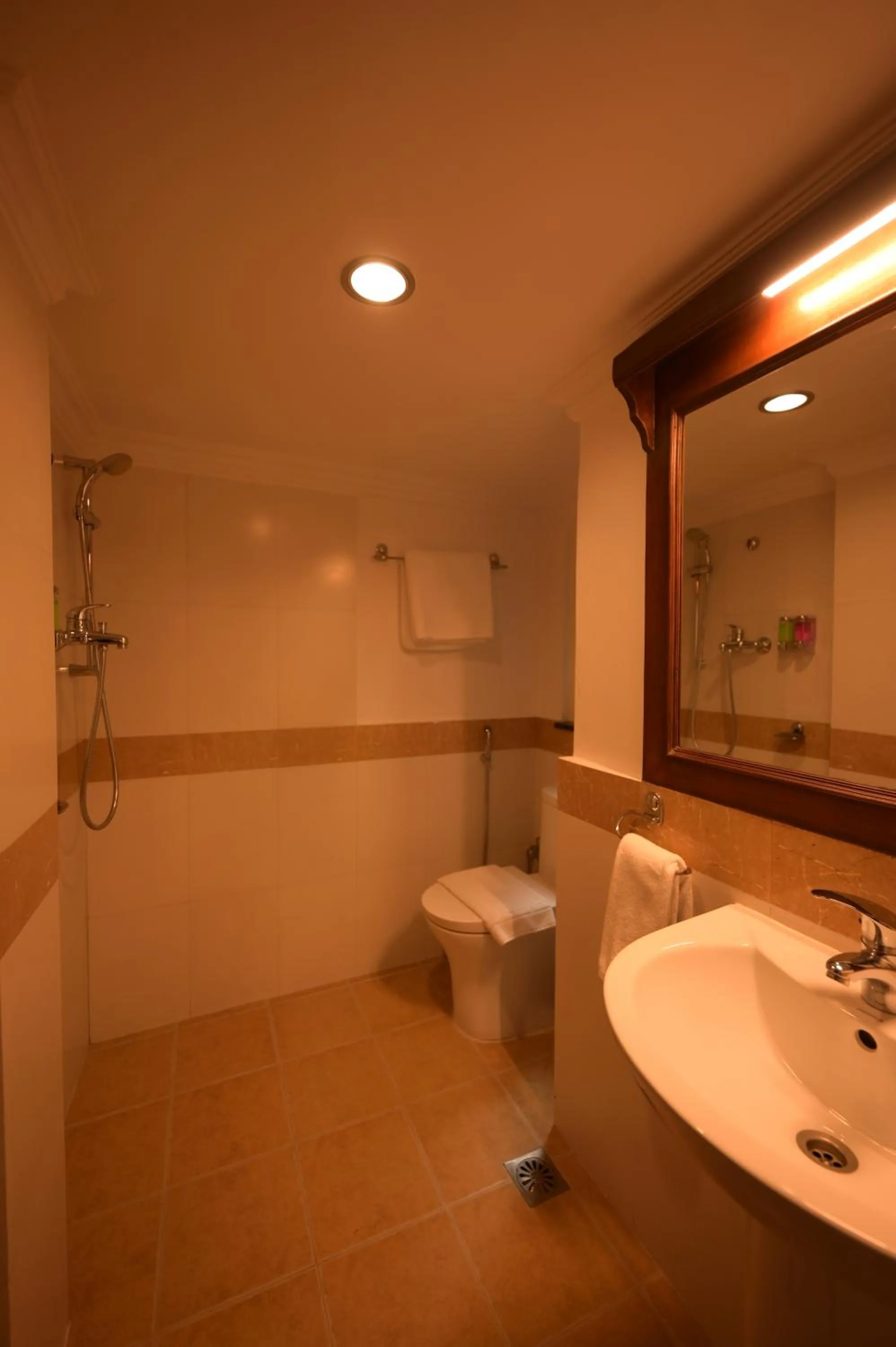 Toilet in Gallery Park Hotel