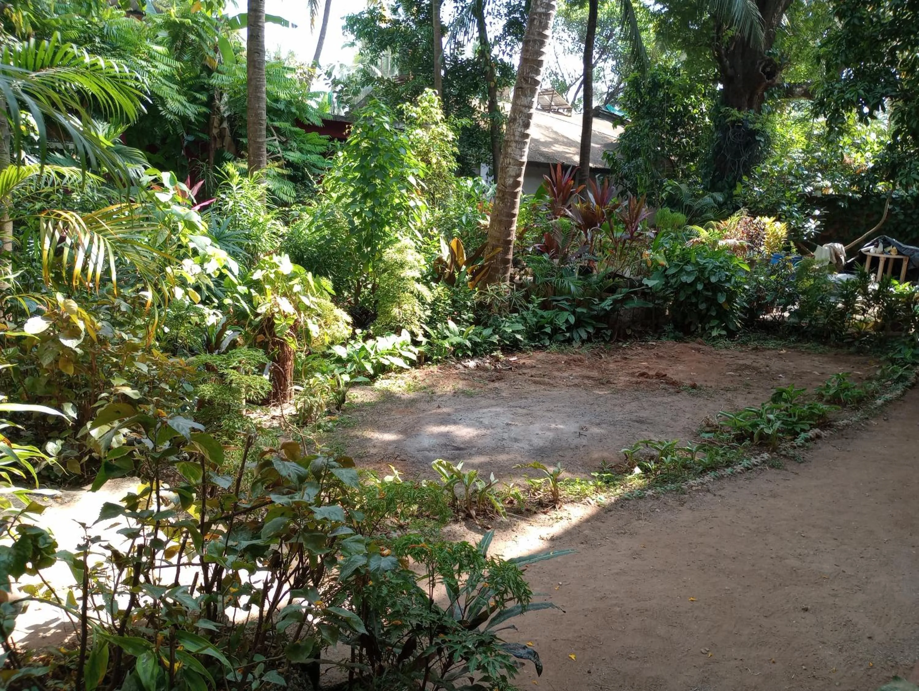 View (from property/room) in Adilson Guest House