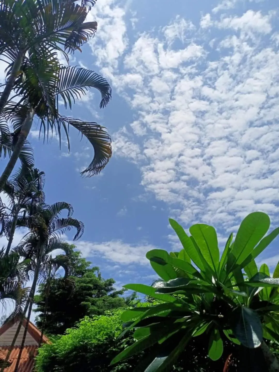 Boonya Resort Koh Chang