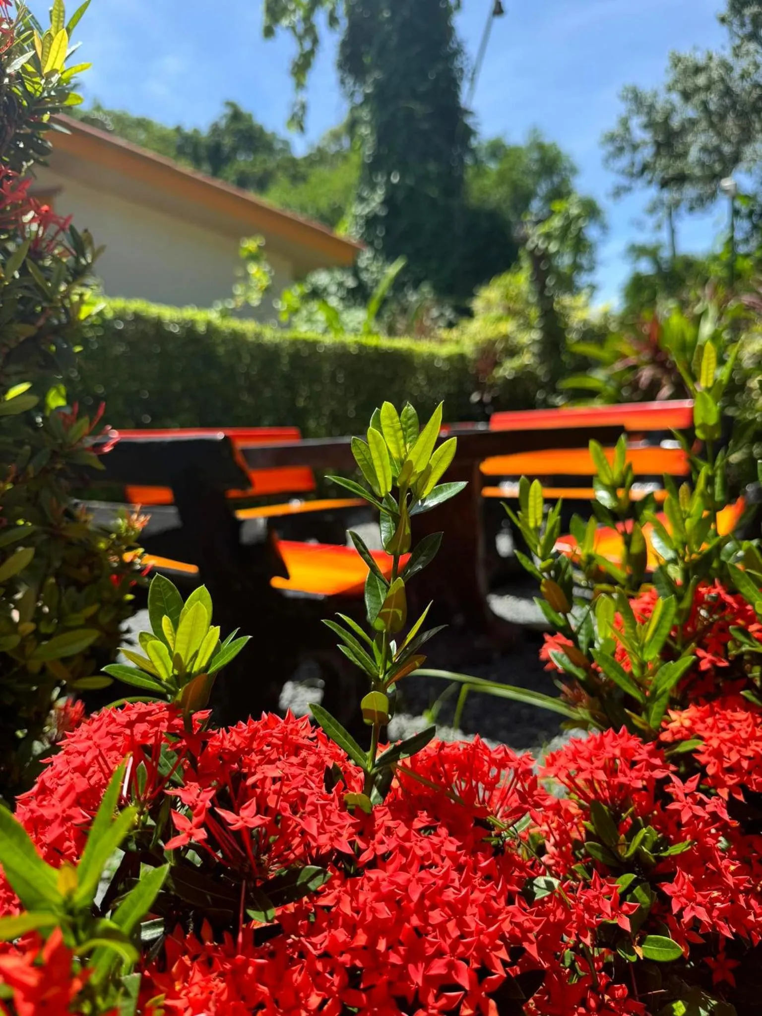 View (from property/room) in Boonya Resort Koh Chang