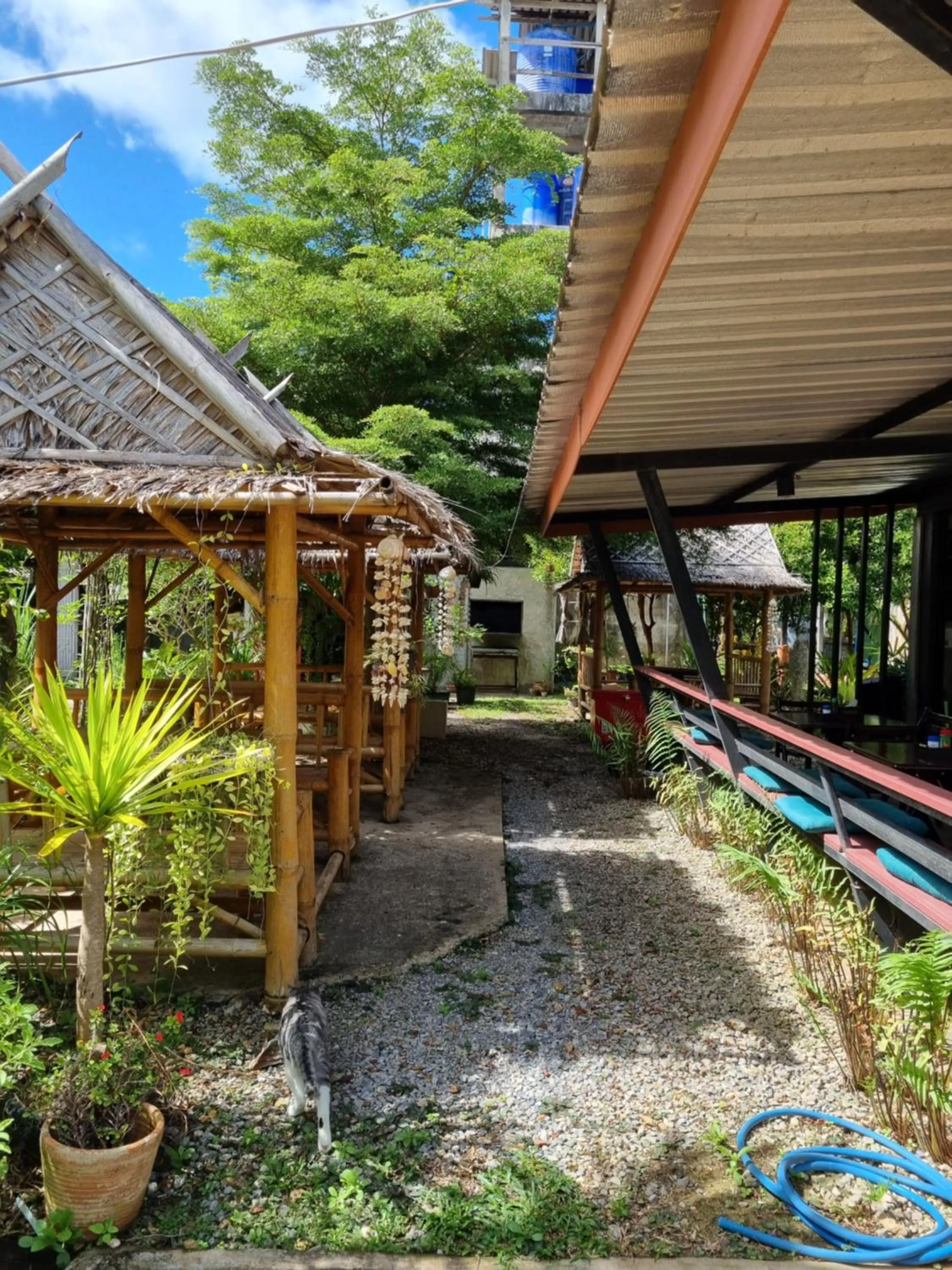 Restaurant/places to eat in Cha-Cha Hotel