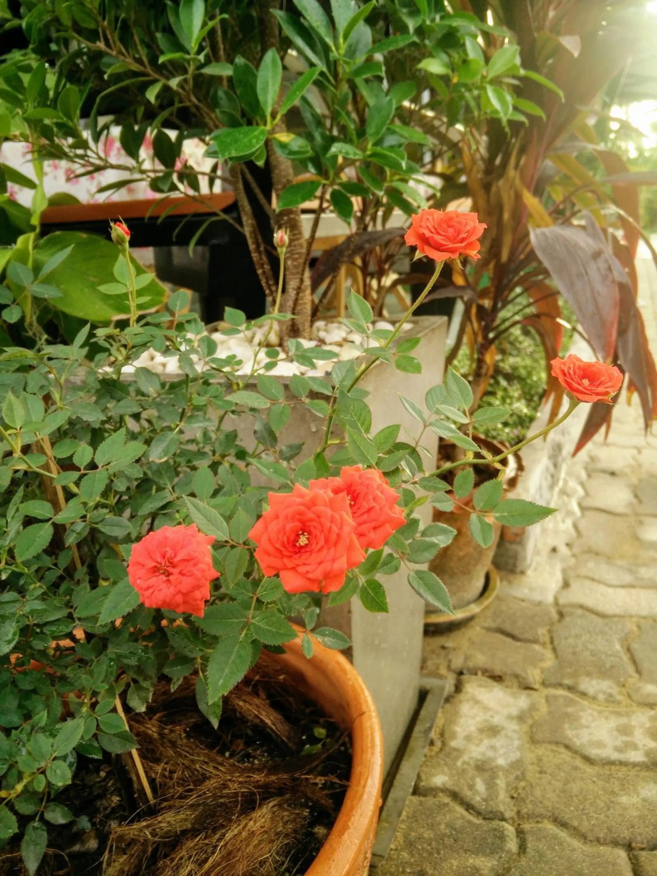 Decorative detail in Cha-Cha Hotel
