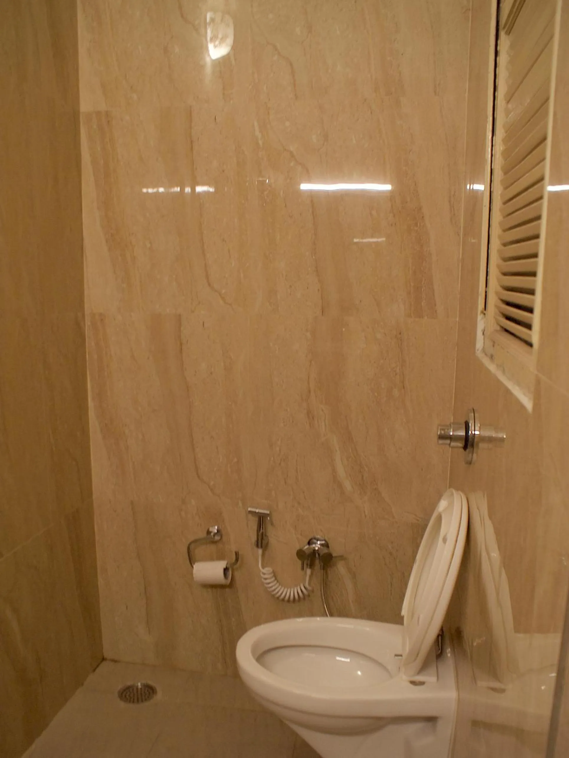 Shower in Hotel Alpana