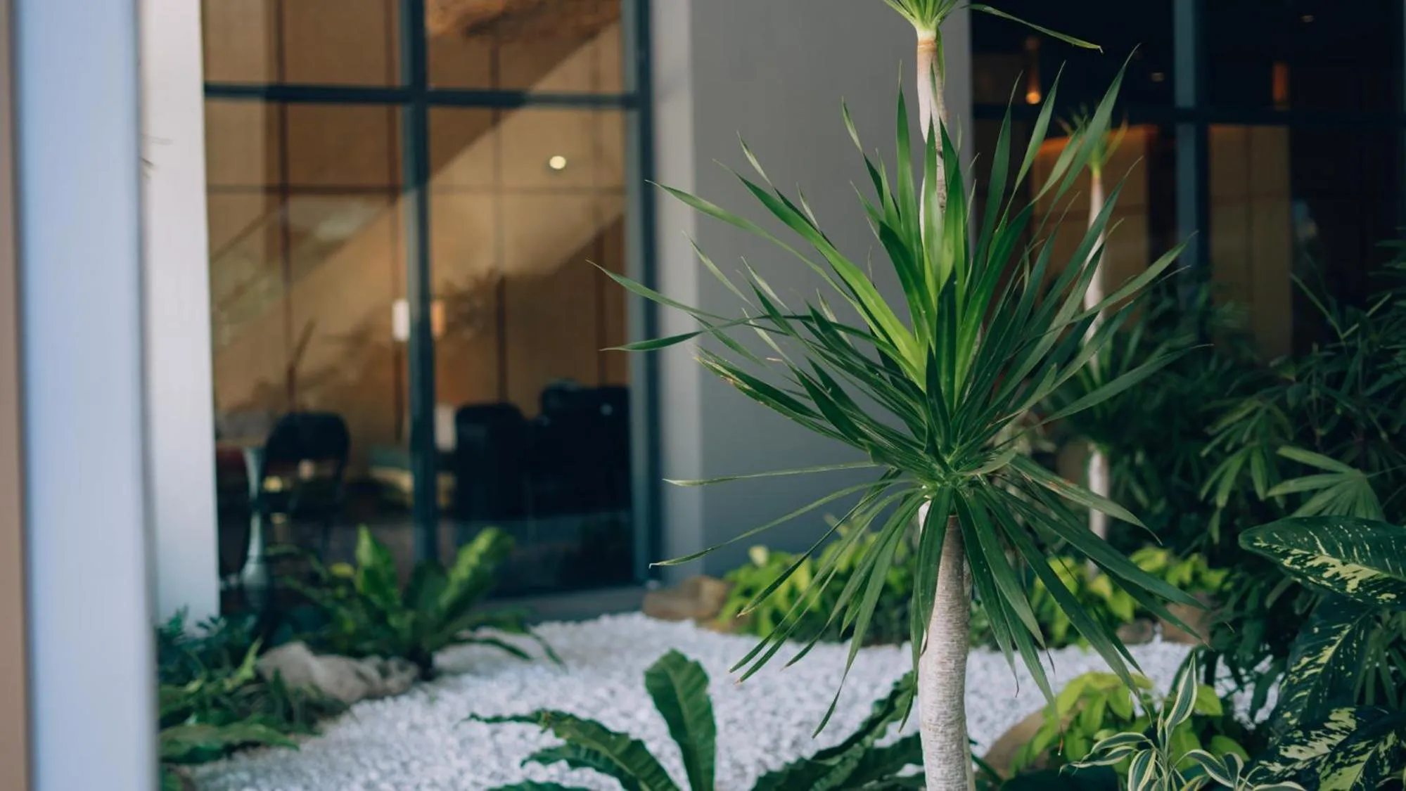 View (from property/room) in The SIGAR Hotel at Sutera Bay