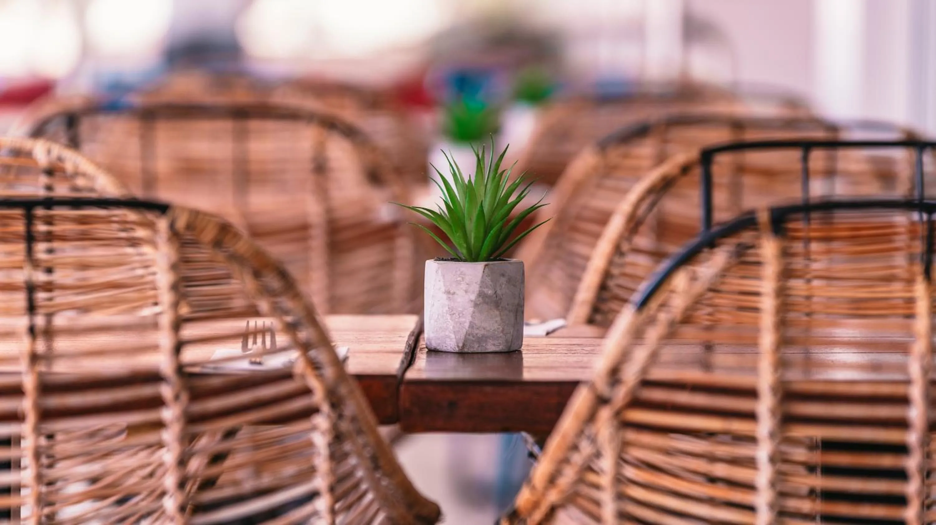 Restaurant/places to eat in Labranda Alyssa Suite Hotel