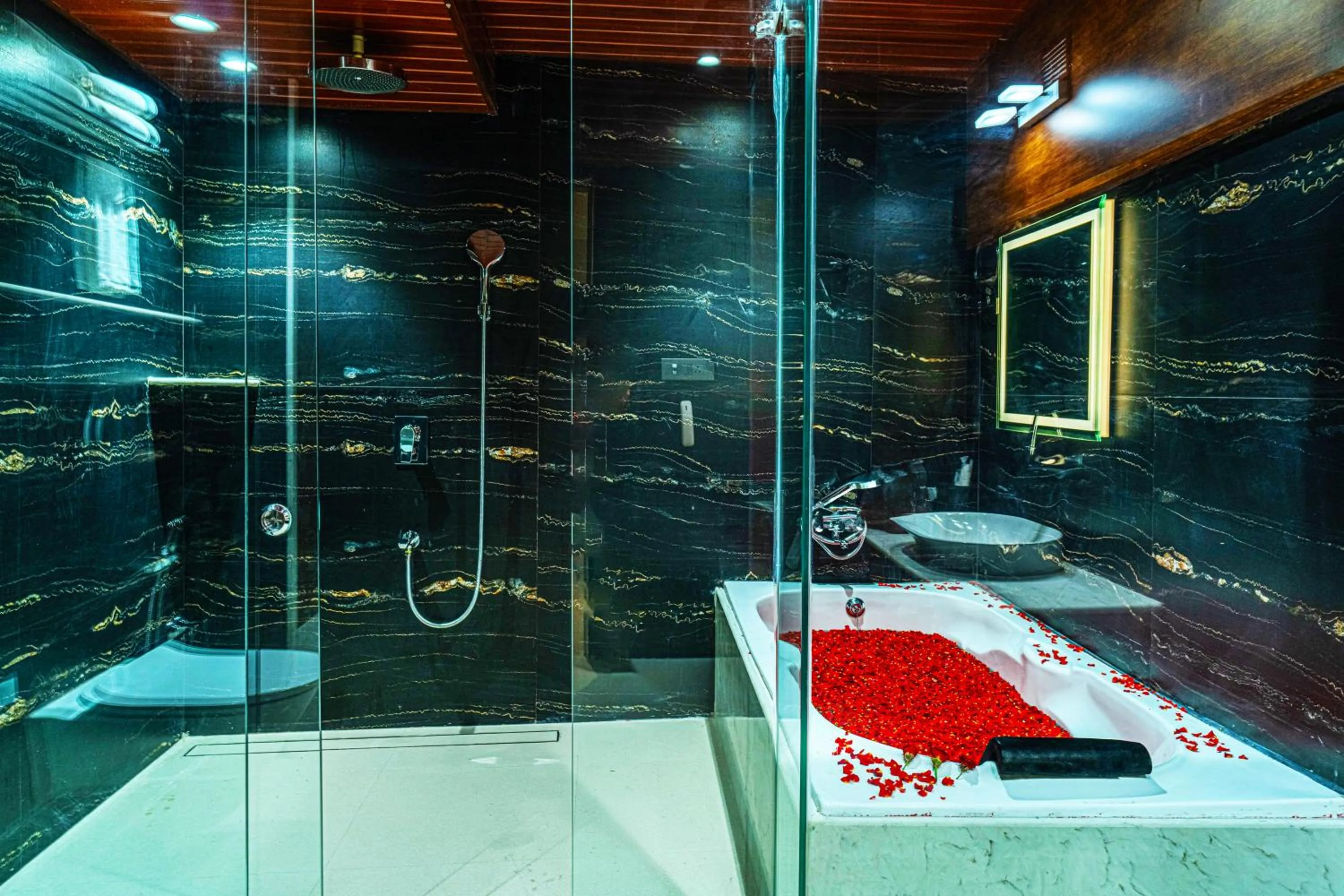 Shower in Clarks Inn Suites Hyderabad Airport