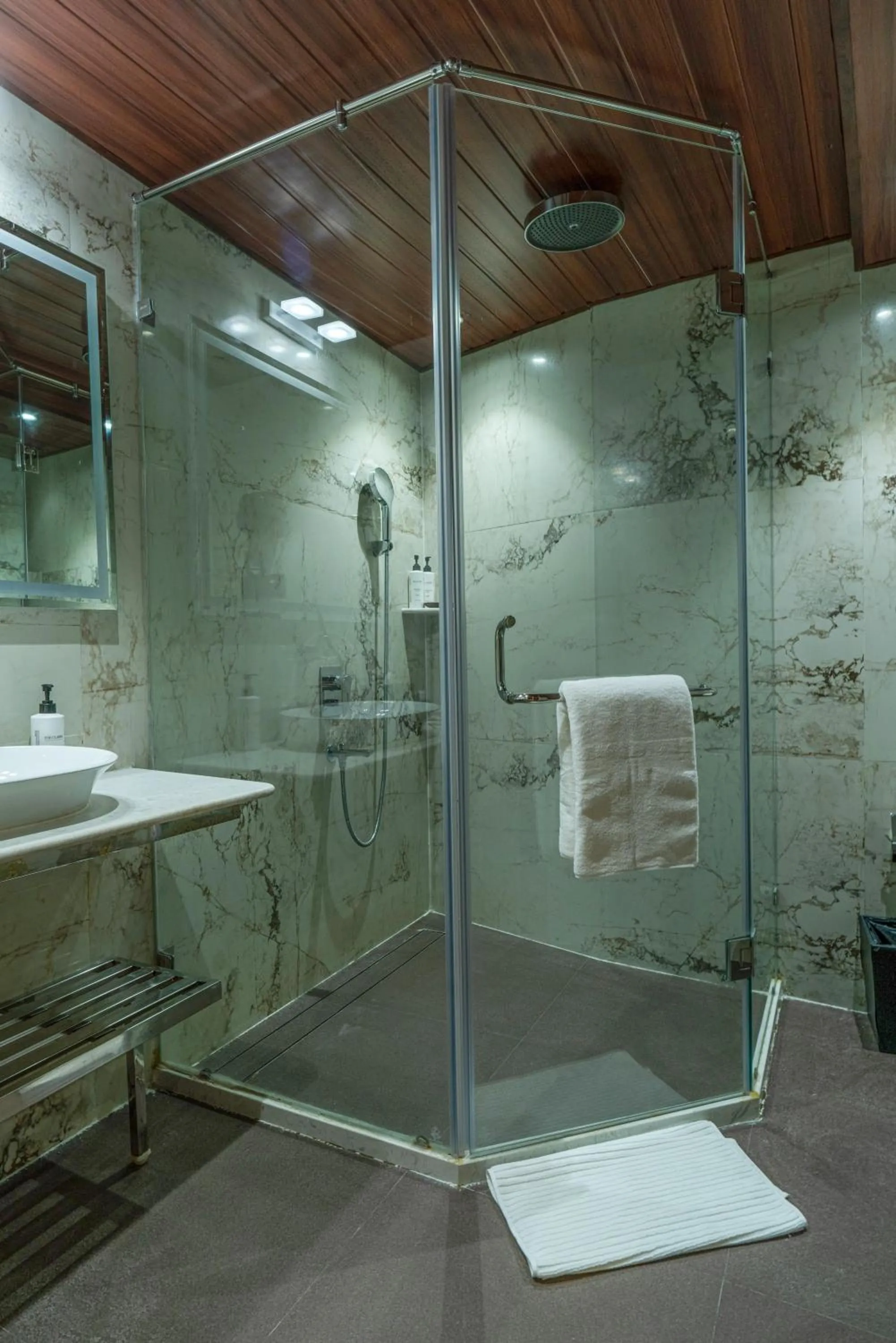 Shower in Clarks Inn Suites Hyderabad Airport