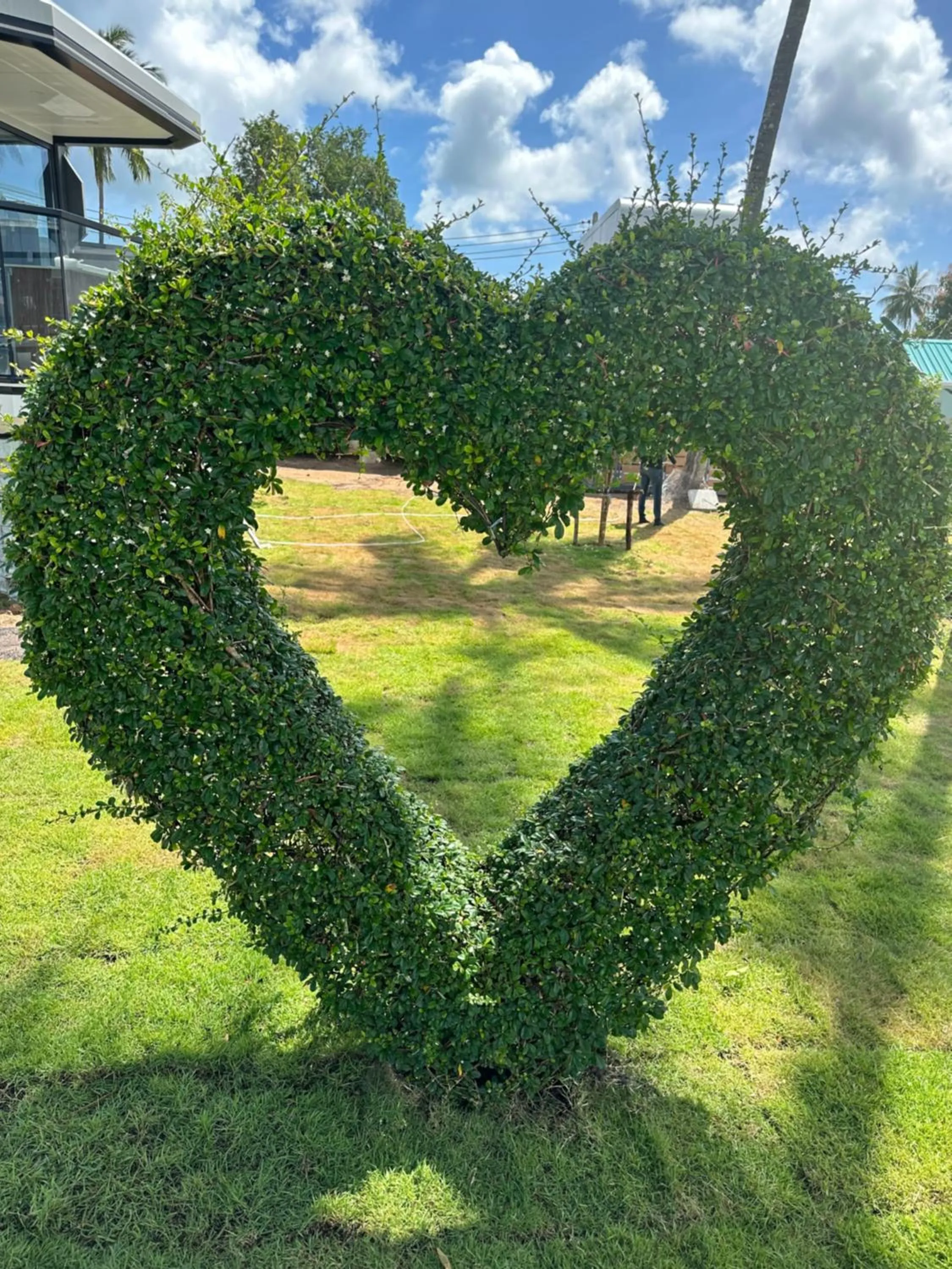 Natural landscape in Space House Hotel Phuket