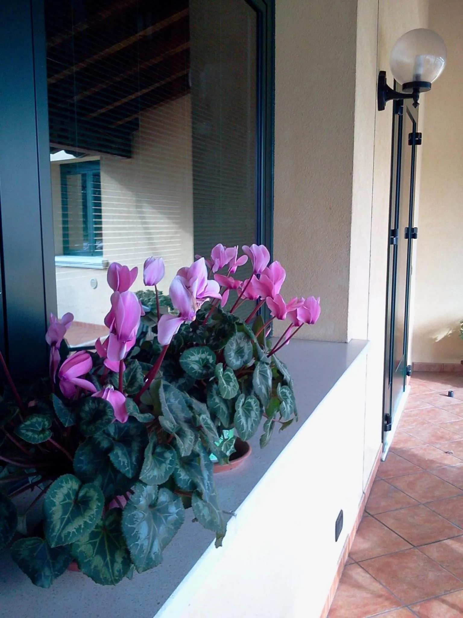 Balcony/Terrace in Albergo Al Portico