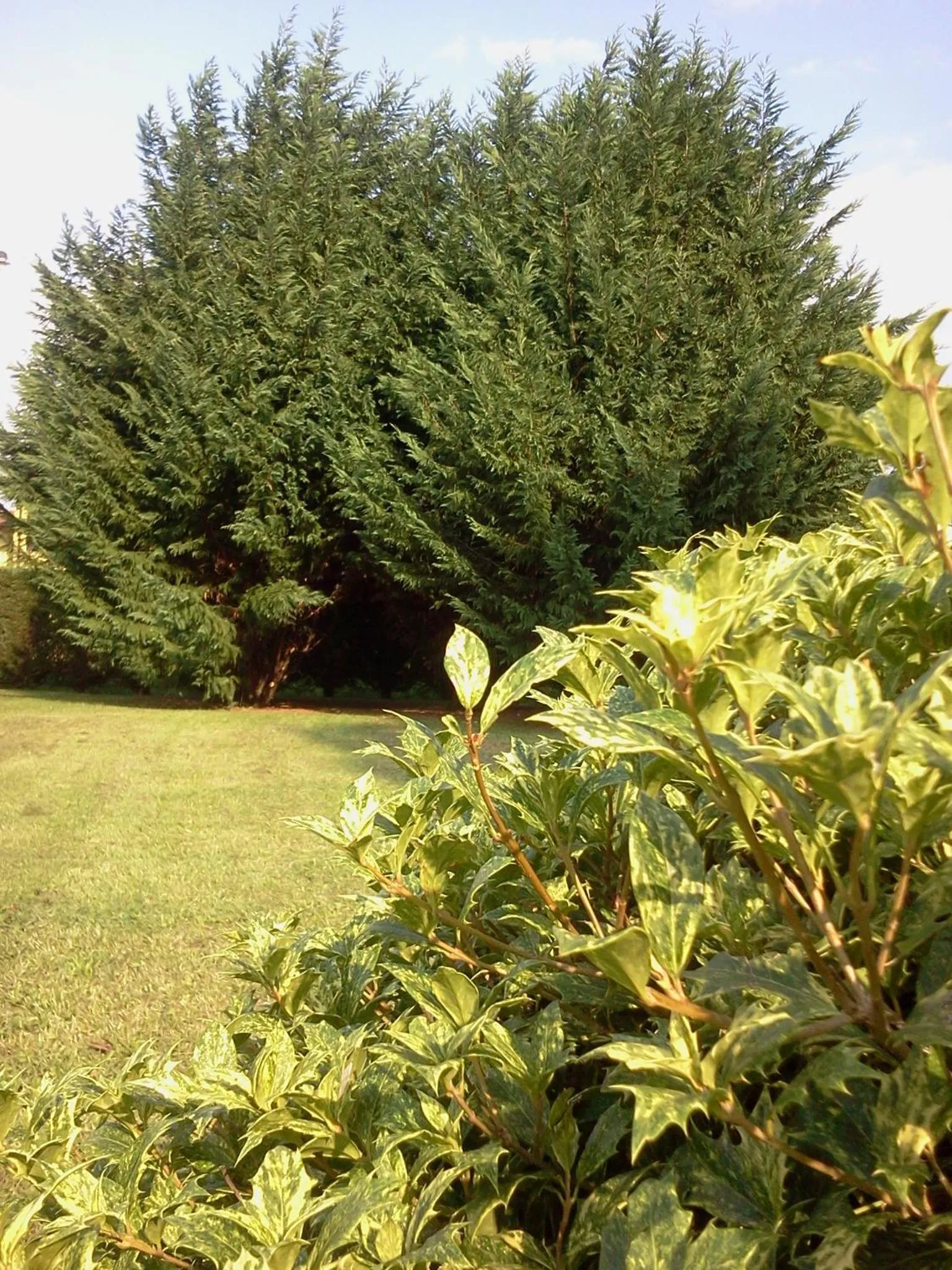 Garden in Albergo Al Portico
