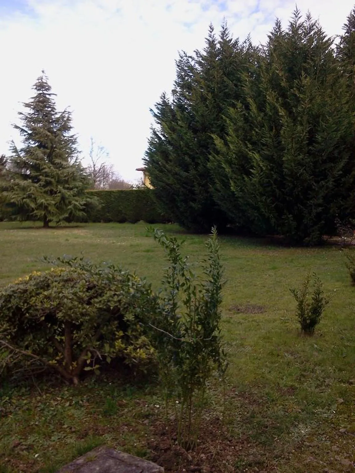 Garden in Albergo Al Portico