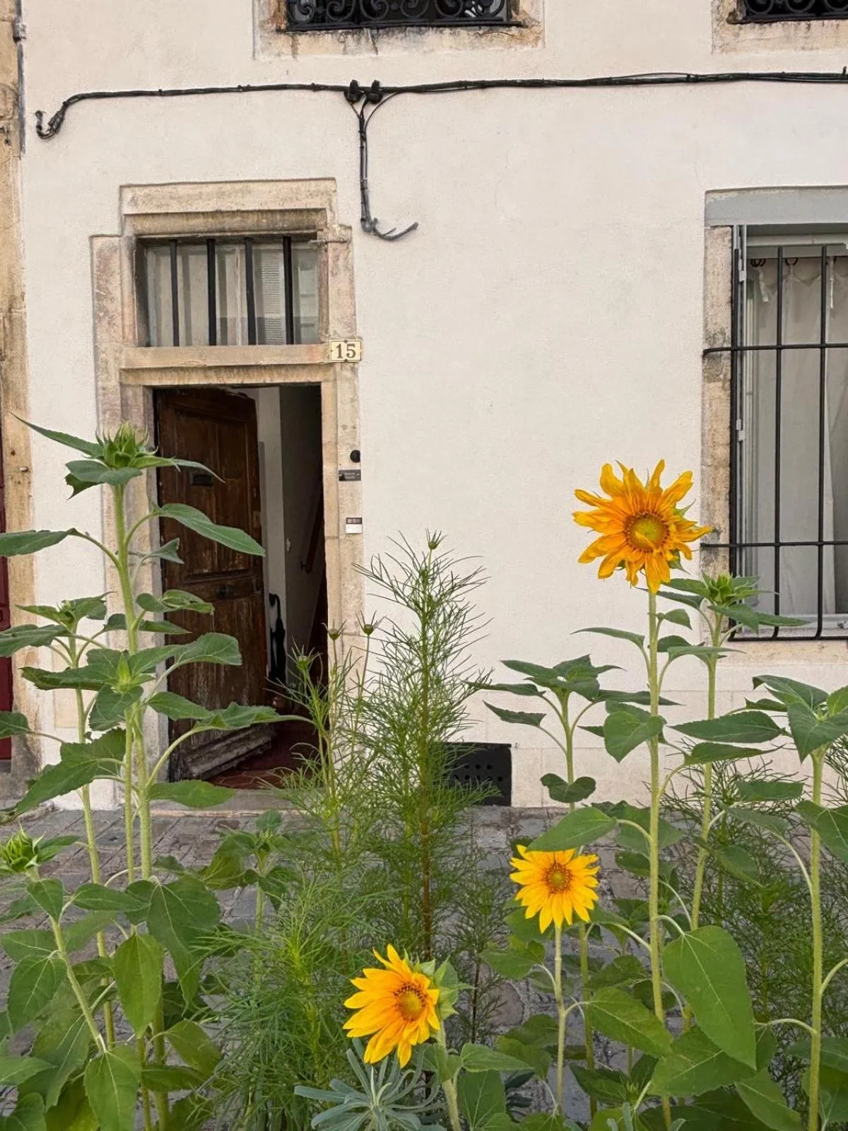 Maison Rinette