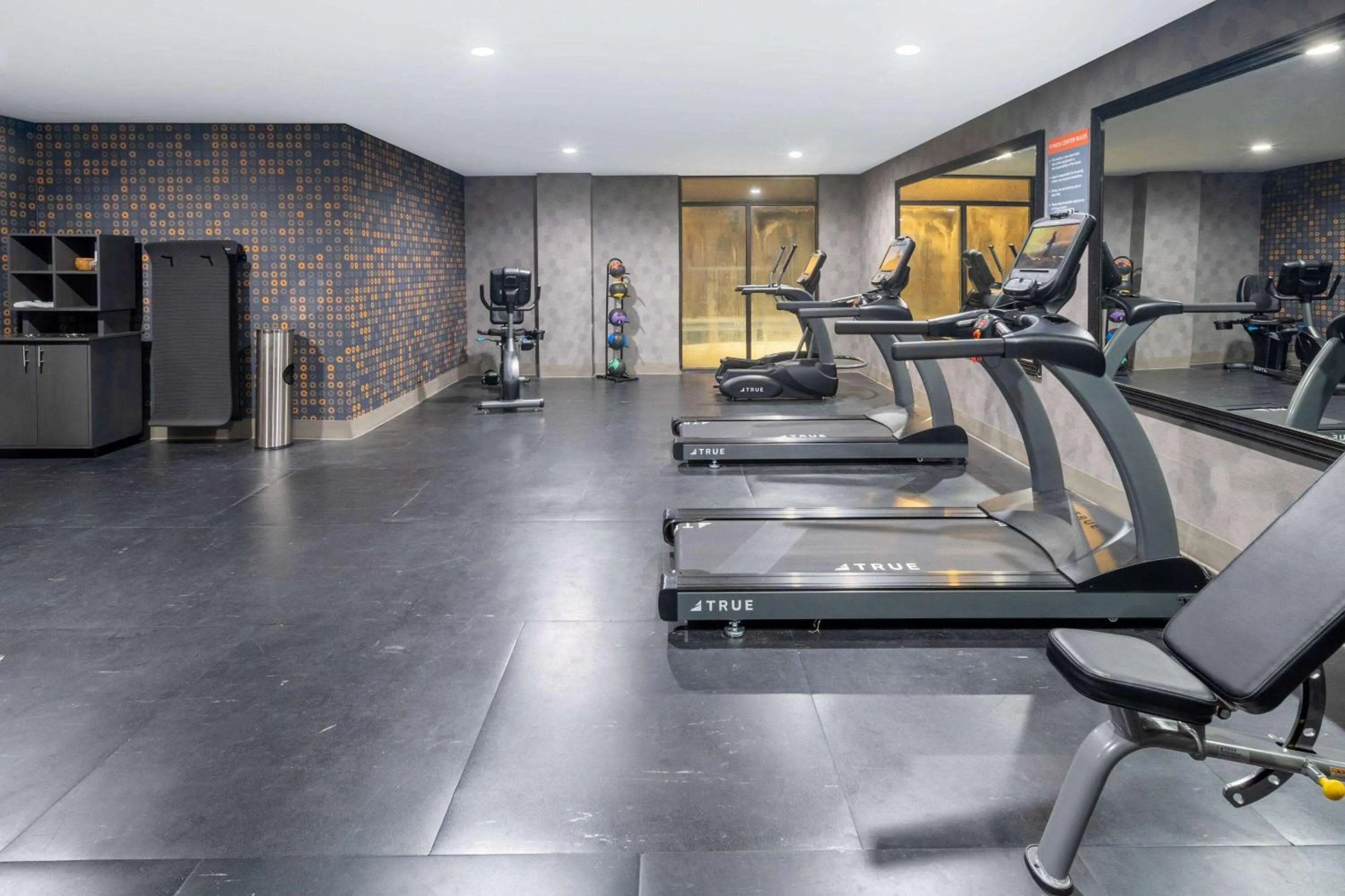 Fitness centre/facilities in La Quinta Inn & Suites by Wyndham-Albany GA