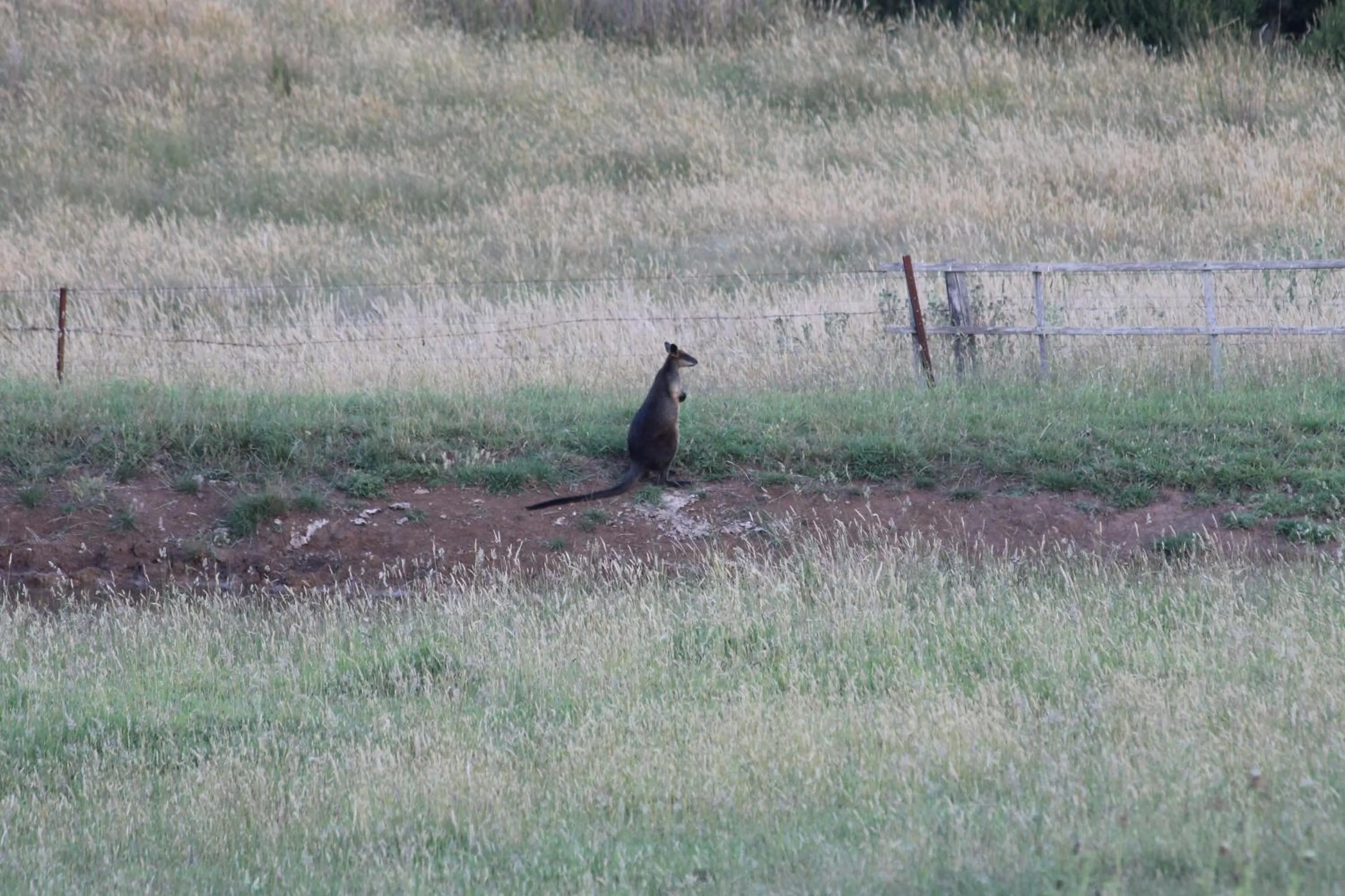 View (from property/room) in Grey Goose @ Smiths