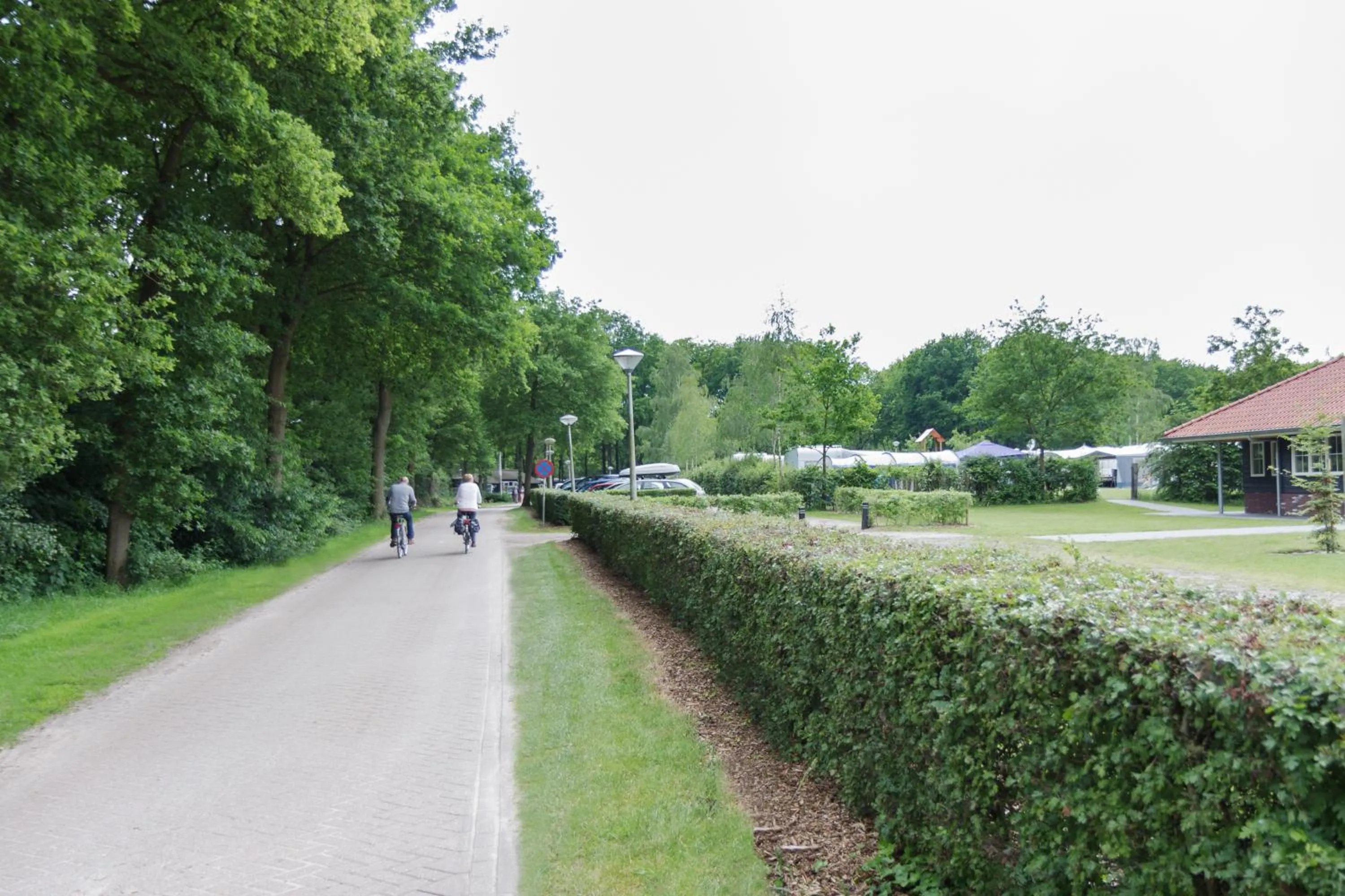 Cycling in Familiecamping De Vossenburcht