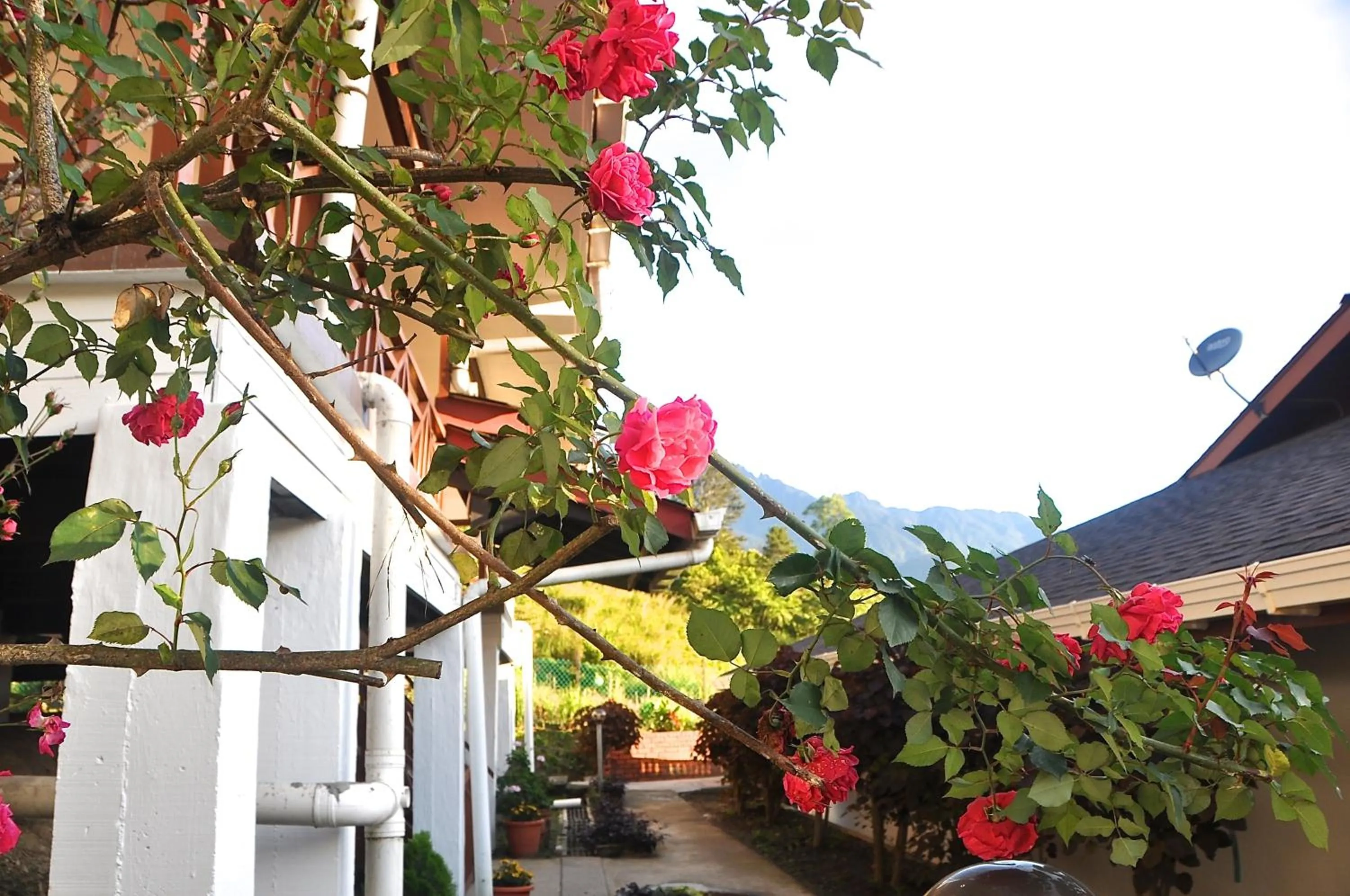 Facade/entrance in Nabalu Kundasang