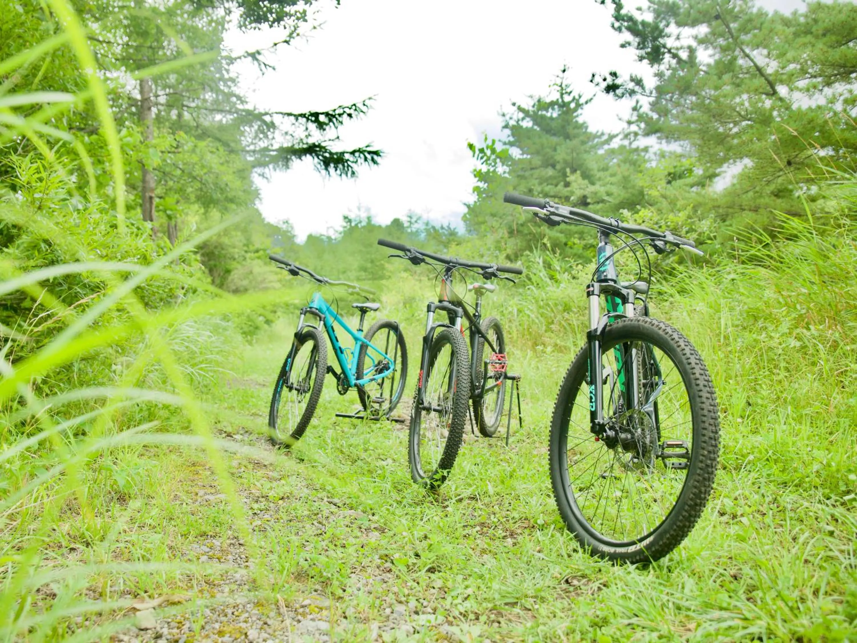 Activities in Palcall Tsumagoi Resort Ski & Hotel