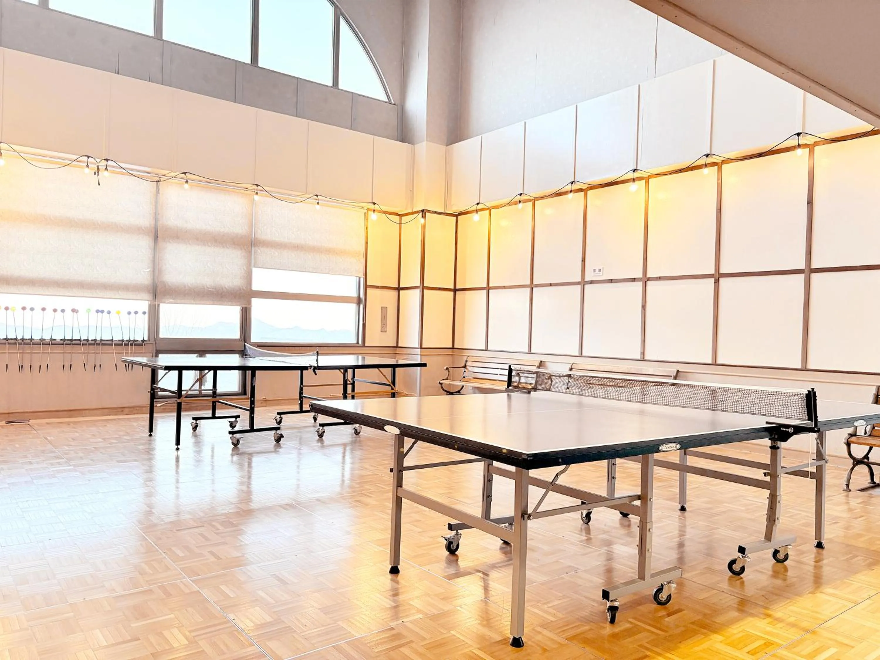 Sports in Palcall Tsumagoi Resort Ski & Hotel