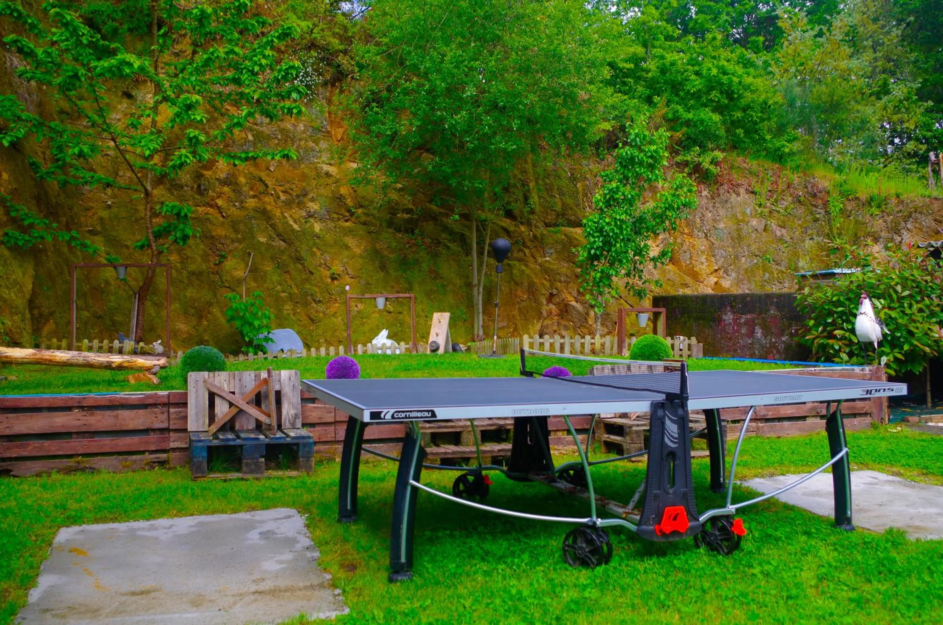 Table tennis in Hotel Rock Star