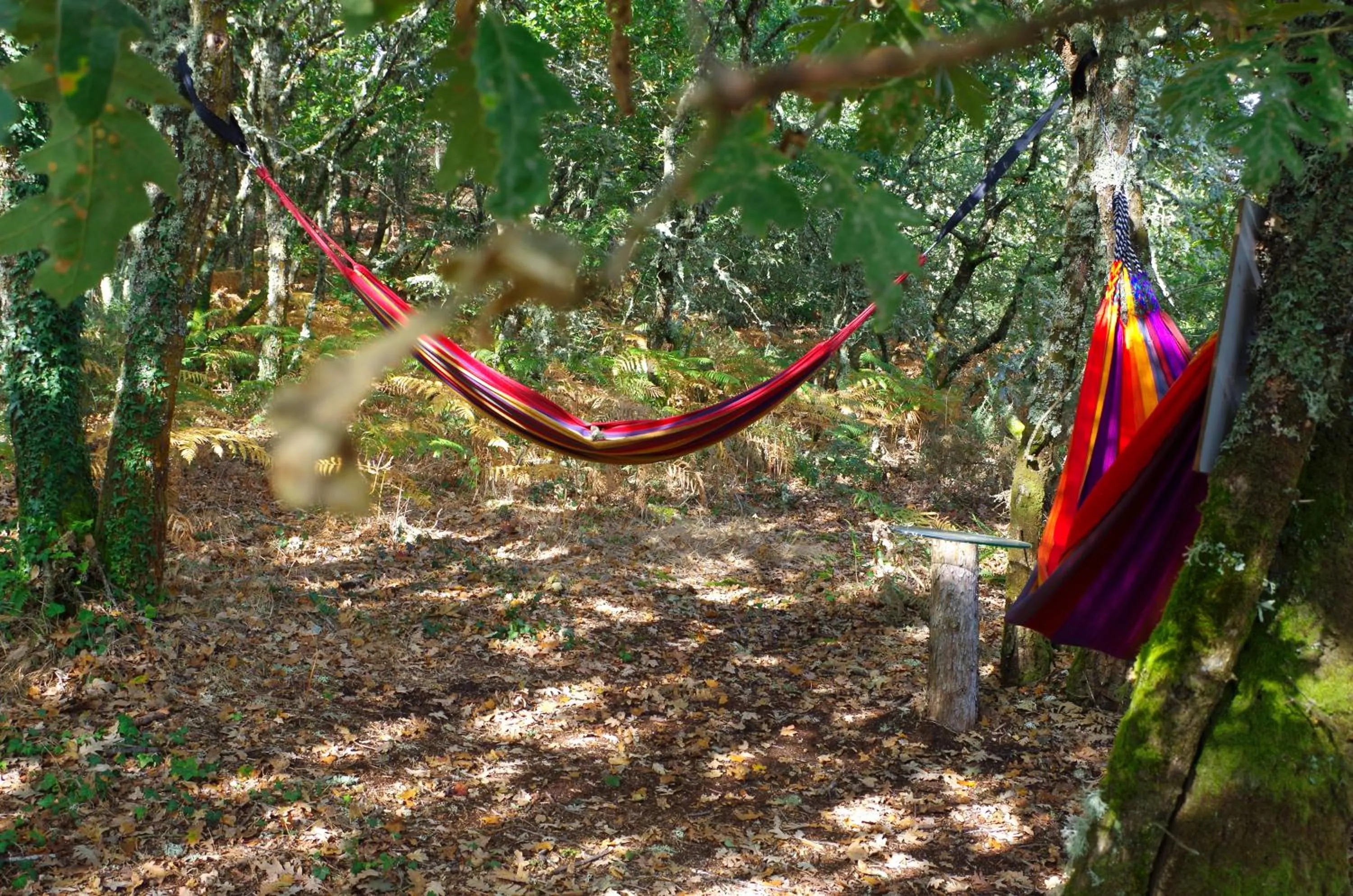 Off site in Hotel Rock Star