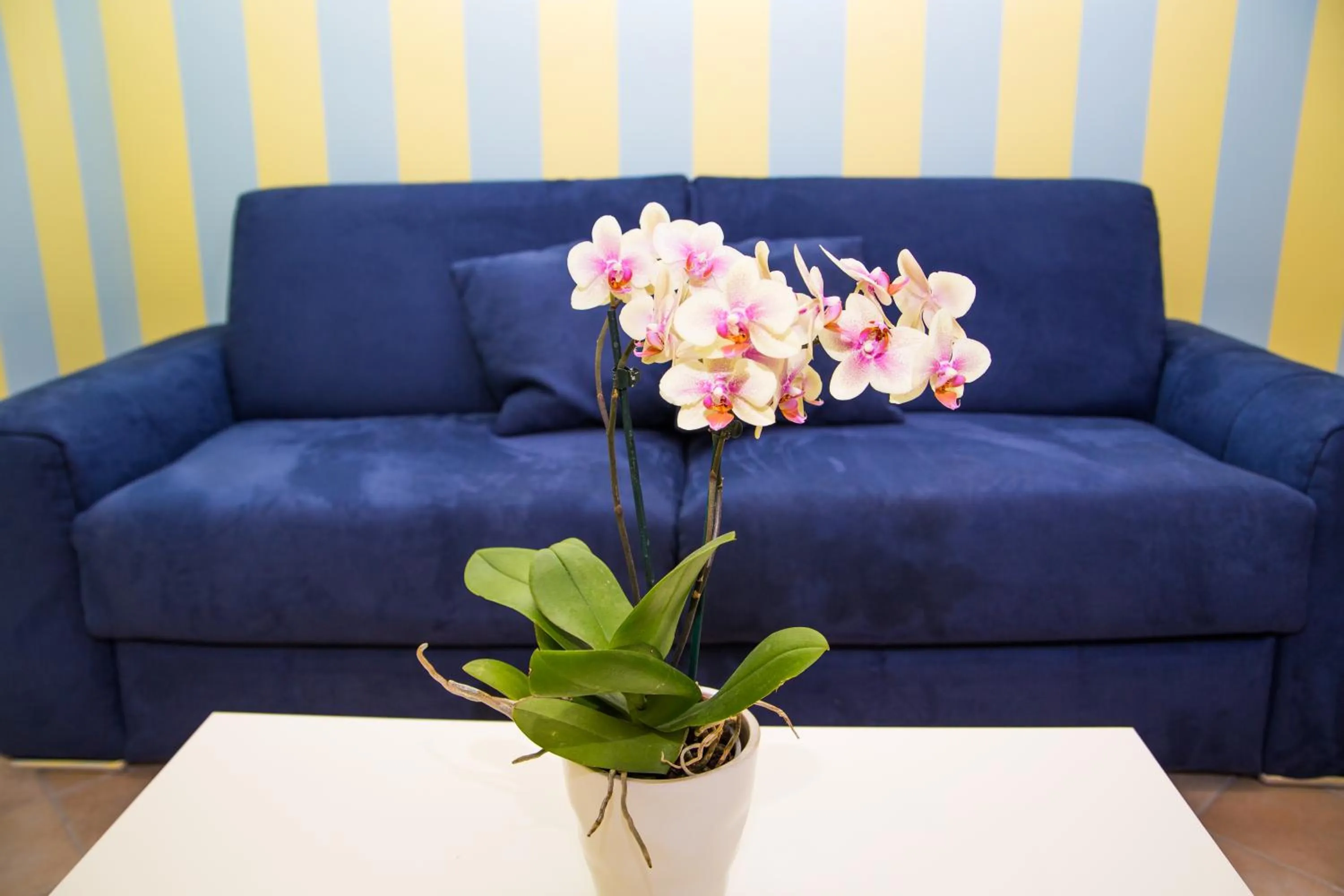 Living room in Lemon Flats Sorrento