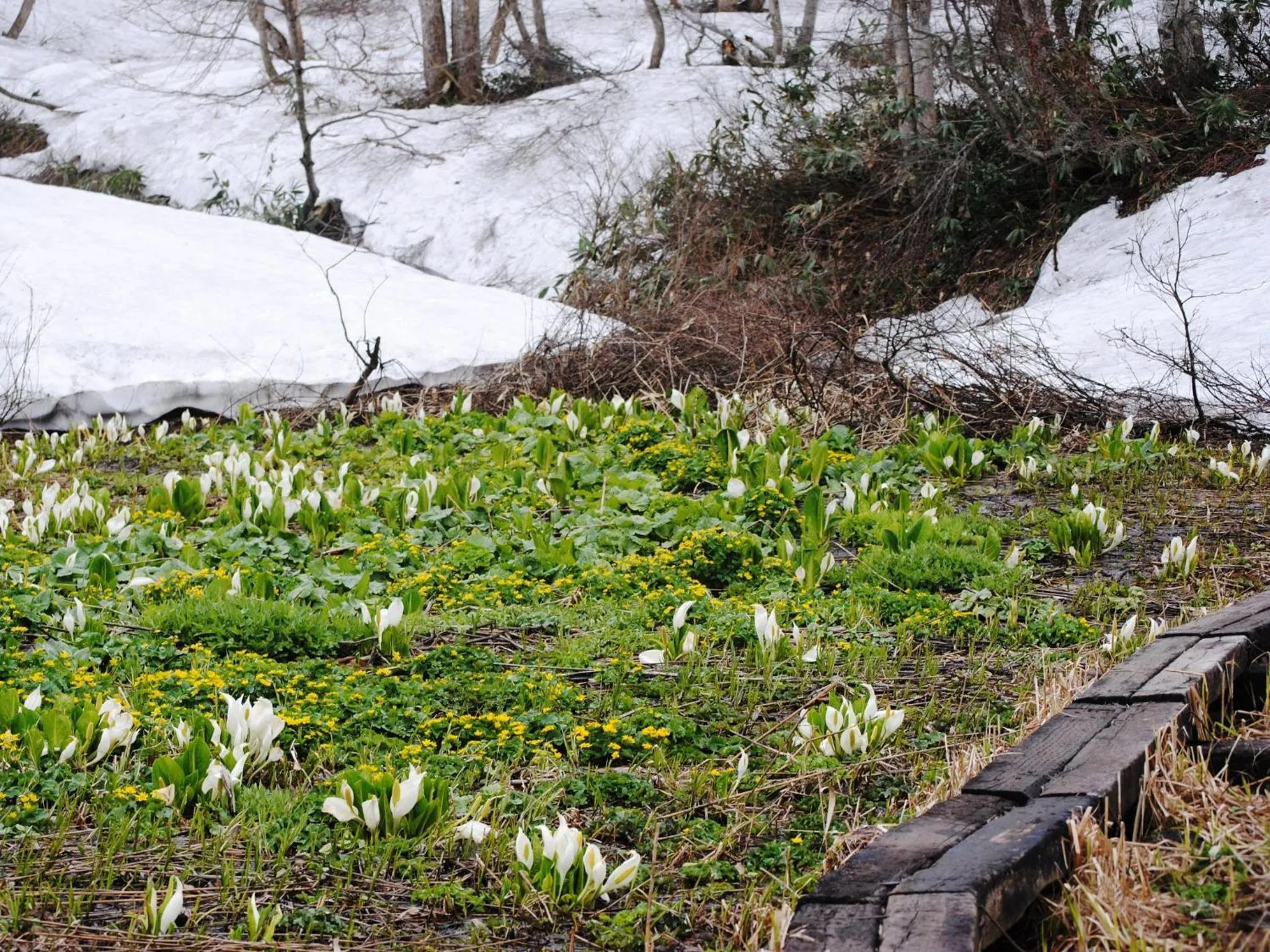 Off site in Marchen House Madarao